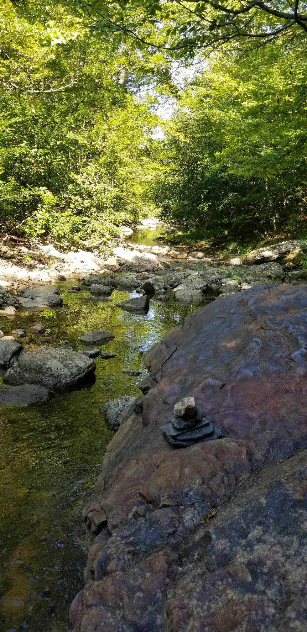 Ouachita National Forest, Arkansas, USA. r/hiking