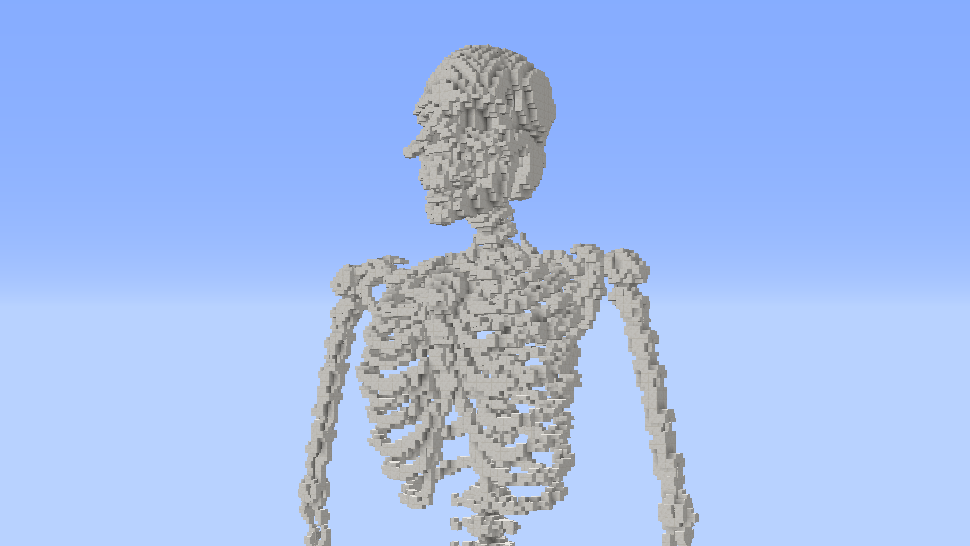 Minecraft Skeleton Anatomy