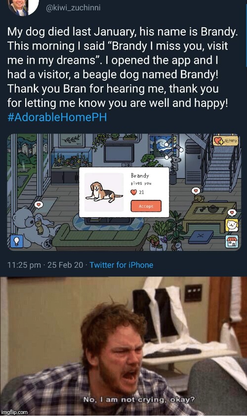 Right in the feels memes