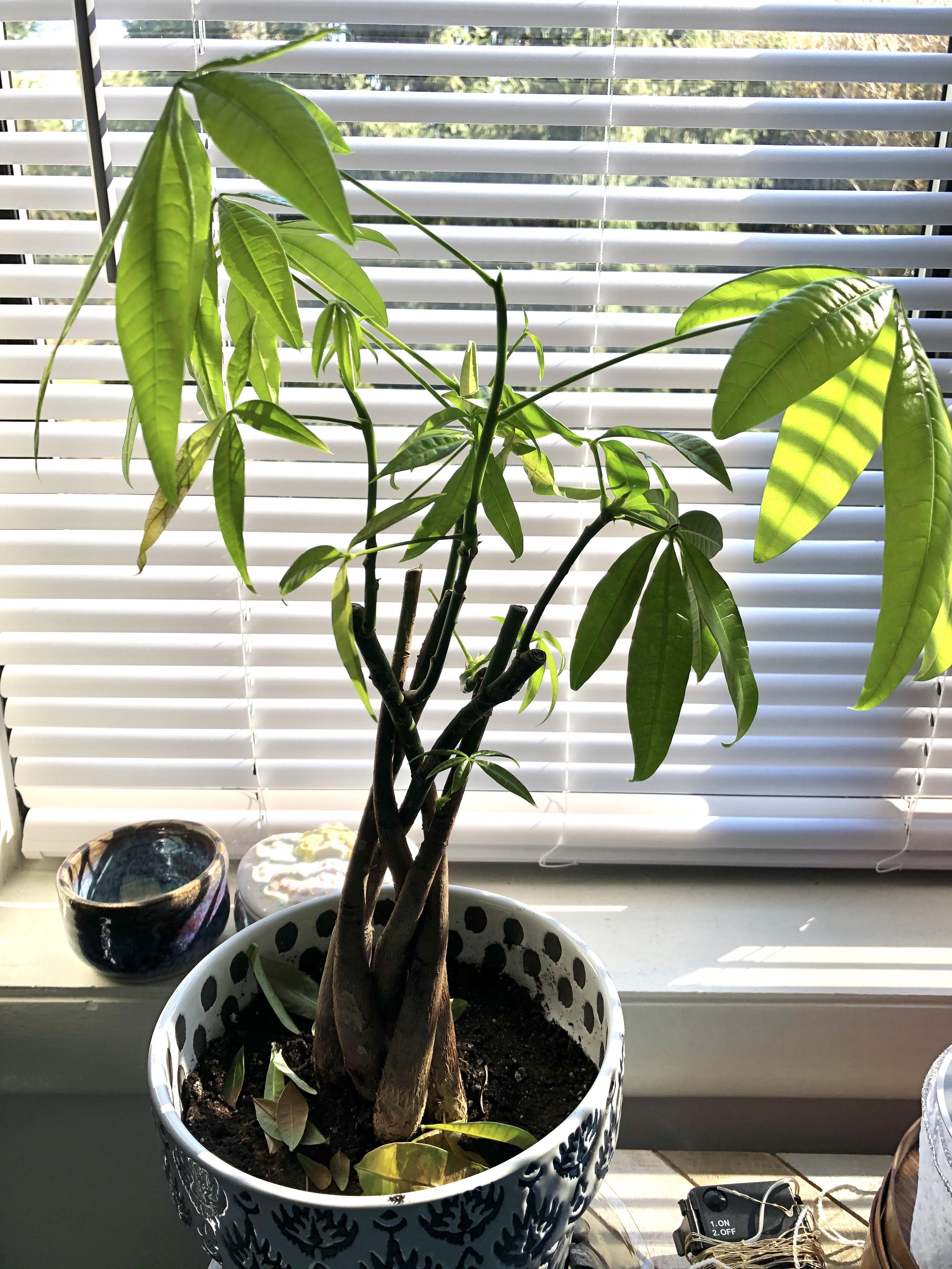 Reddit Dive into anything