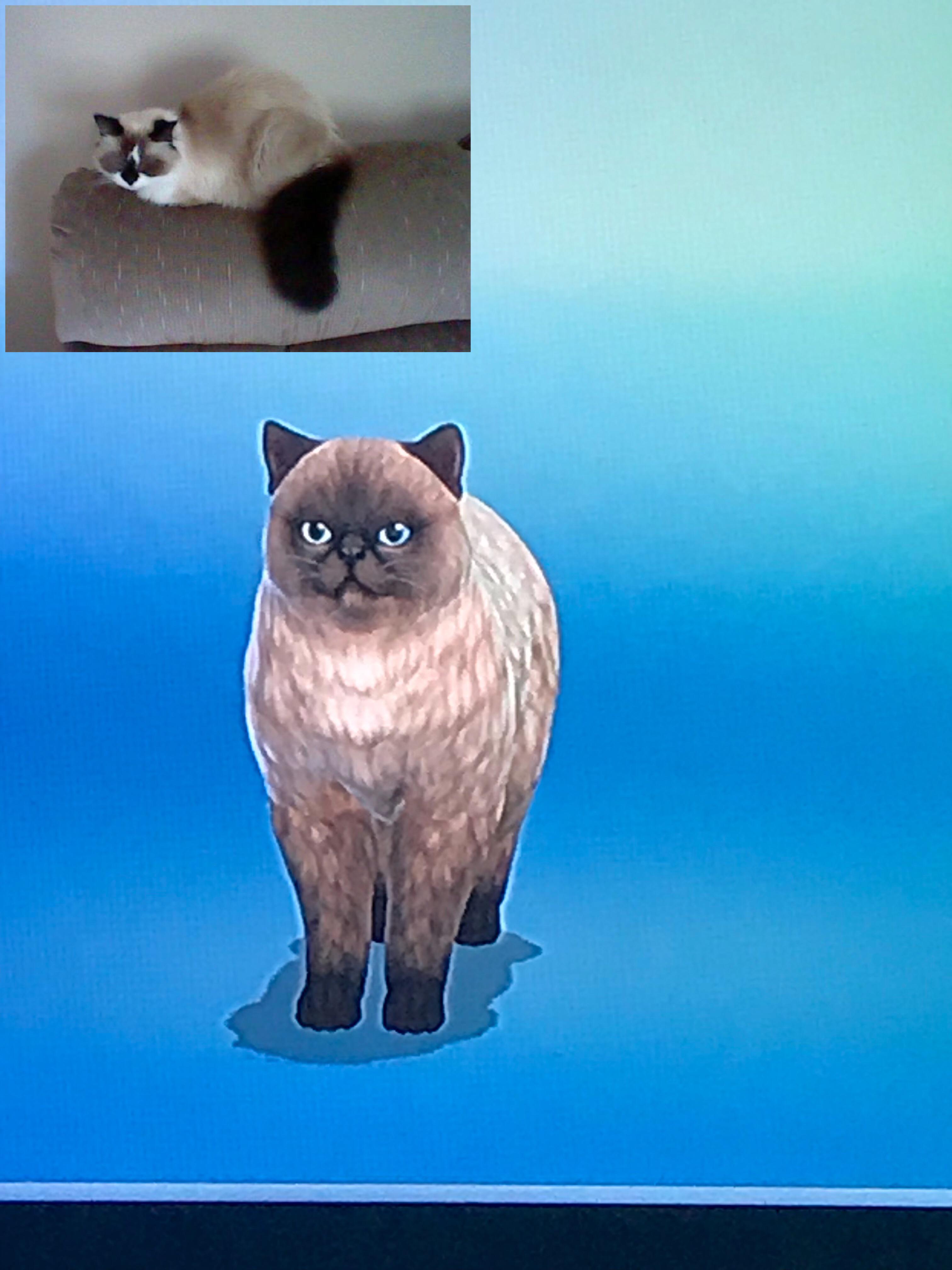 Tried my best at making my childhood pet r/Sims4