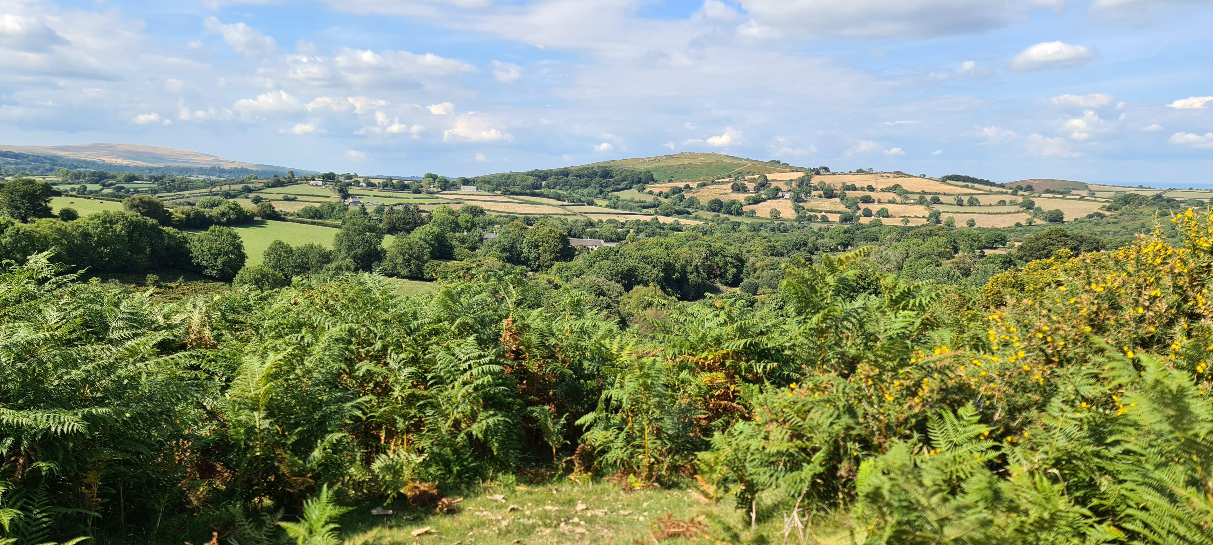 Lettaford Dartmoor National Park r/DevonUK