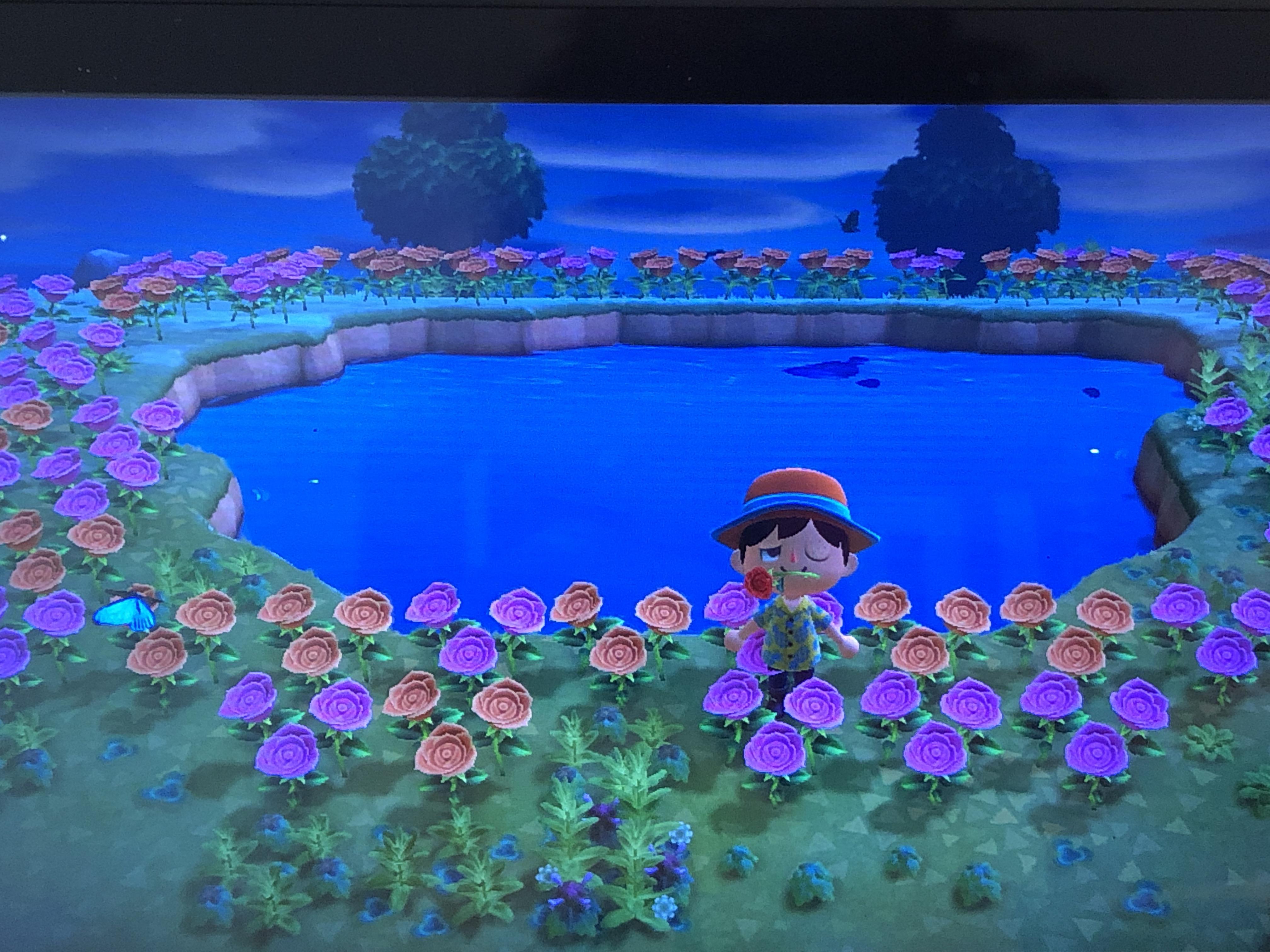 Found this super pretty island where only emperor butterflies spawned