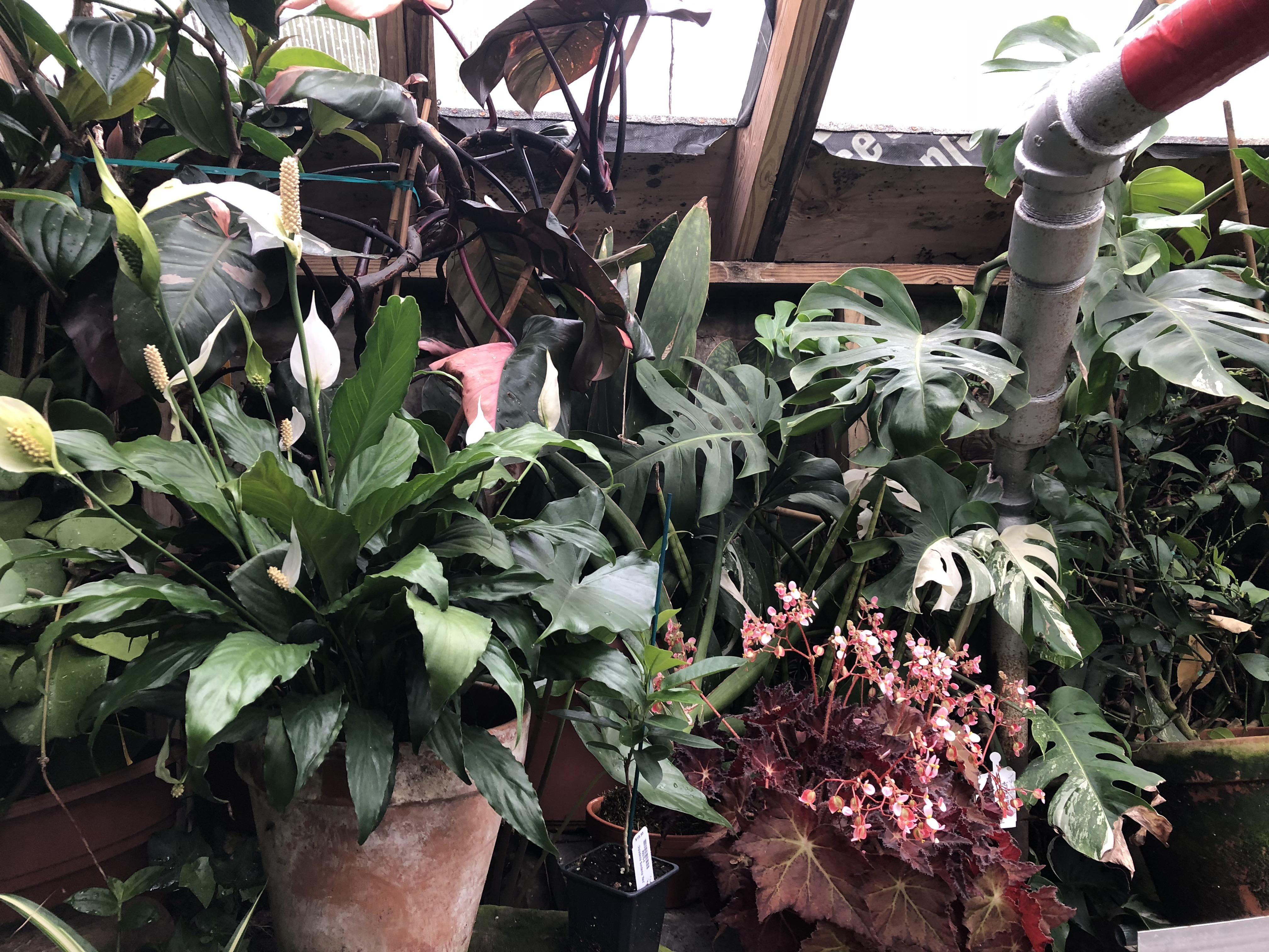 I thought this sub would appreciate one of the sites I captured at