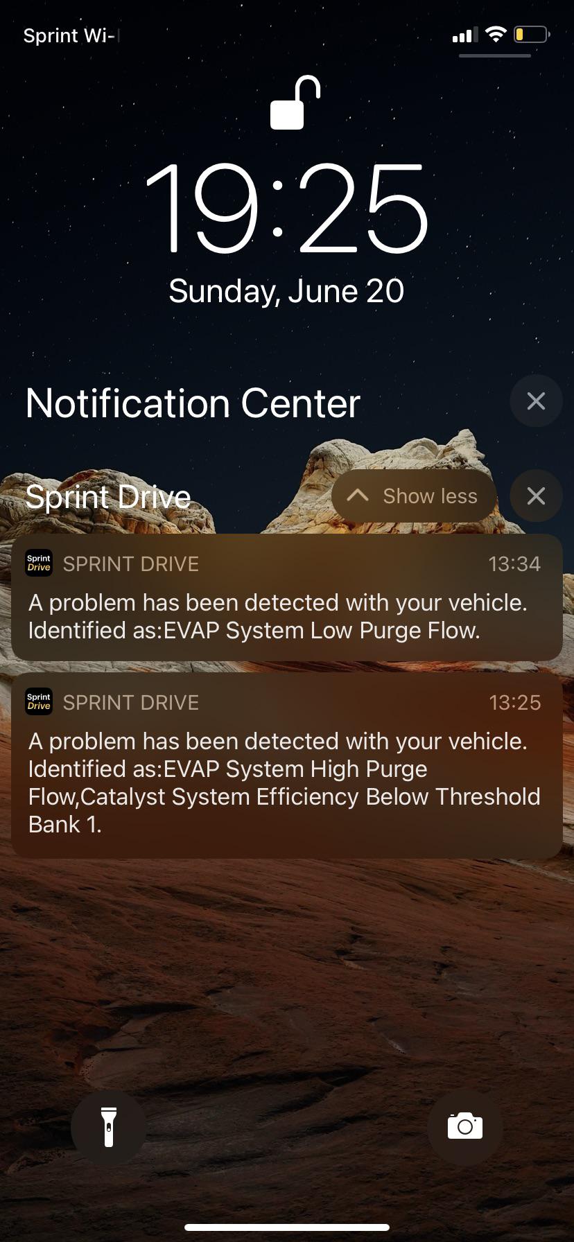 03 VOLVO XC90; EVAP system high and low purge flow, can someone explain