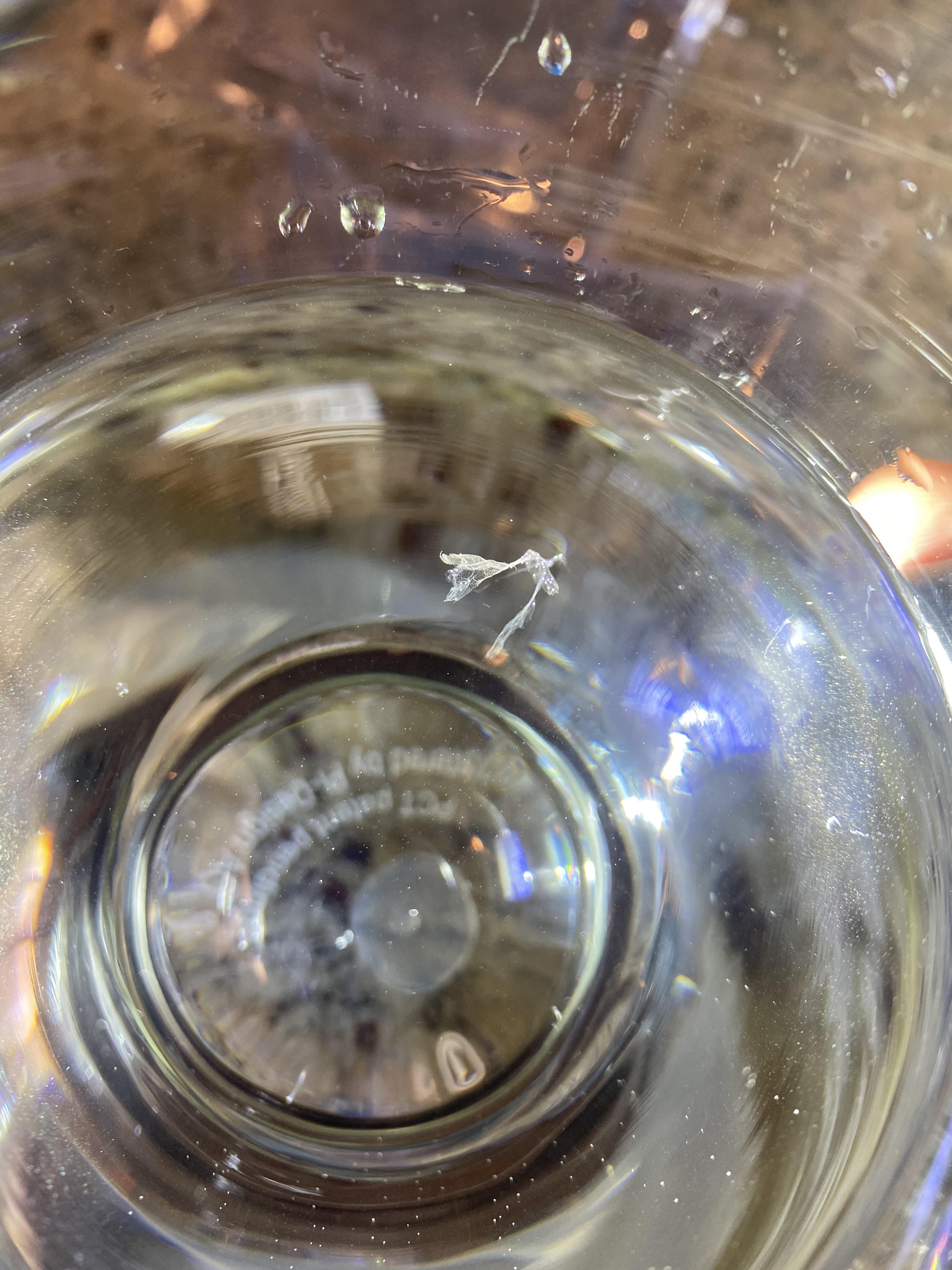 What are these wispy white things coming out of my fridge water