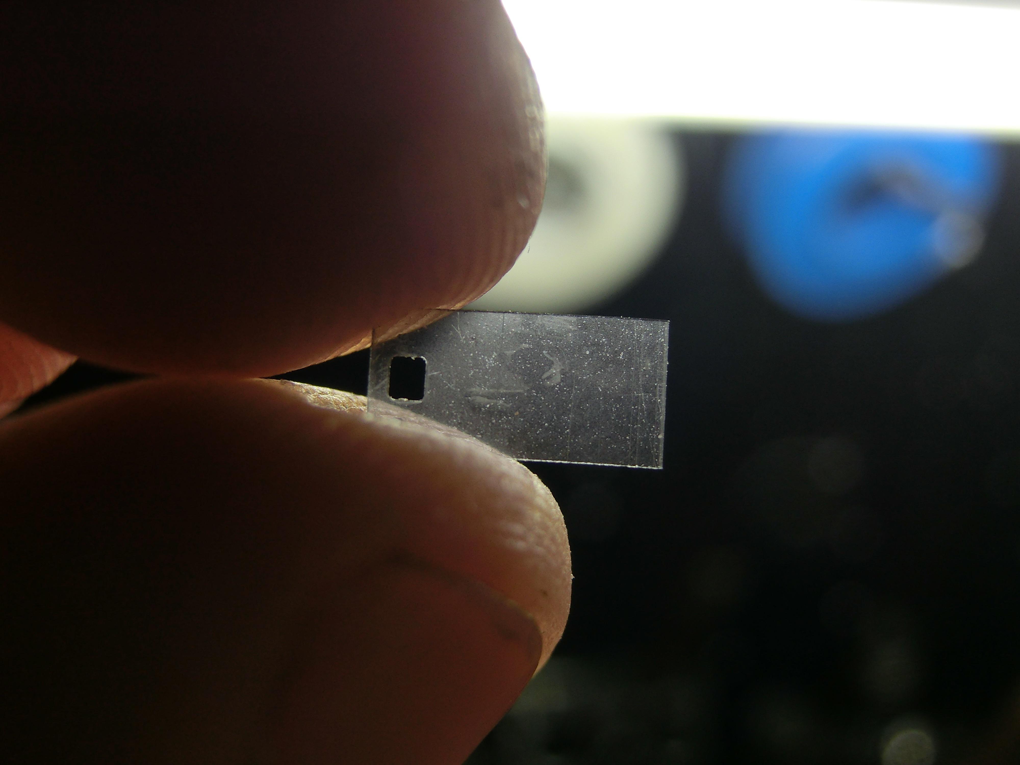 A single frame from a roll of super 8 film mildlyinteresting