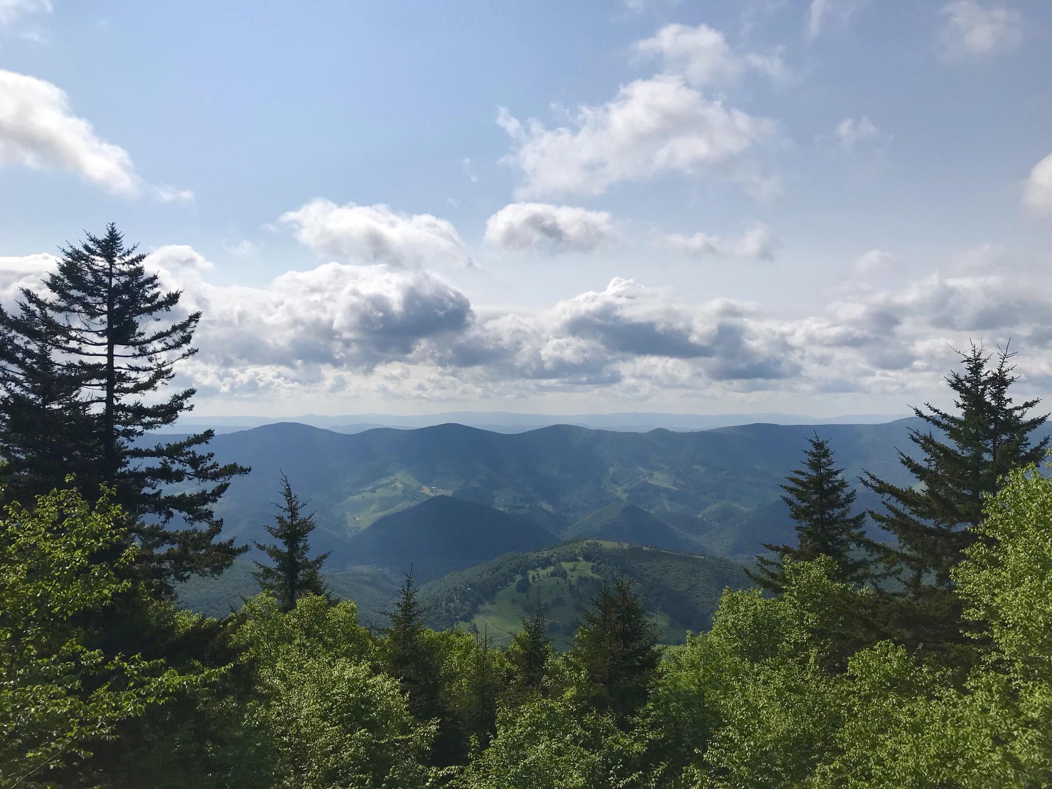 The view from Spruce Knob, Monongahela NF, WV, USA r/travel