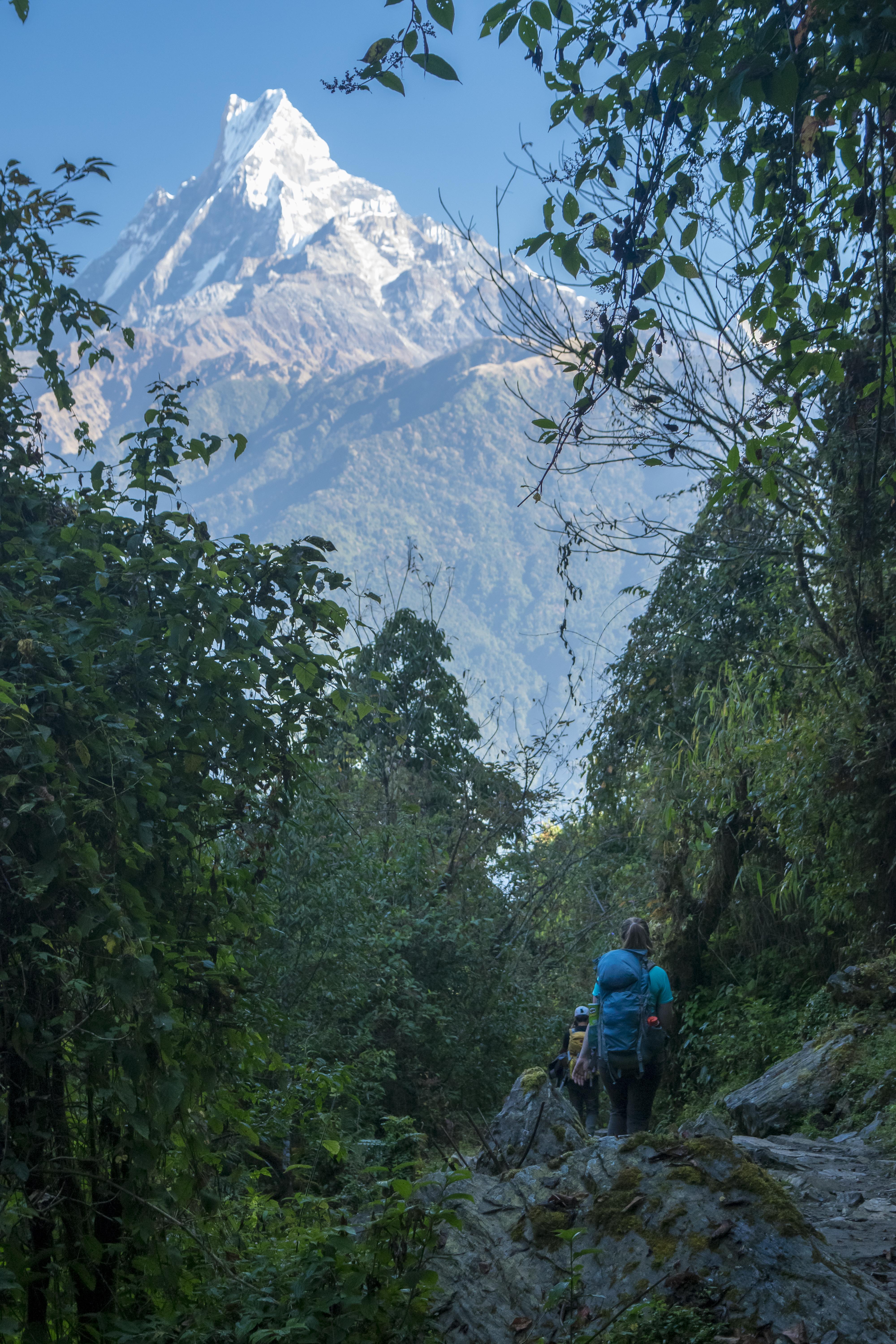 Hiked in Nepal last November. The Himalayan Mountains are truly