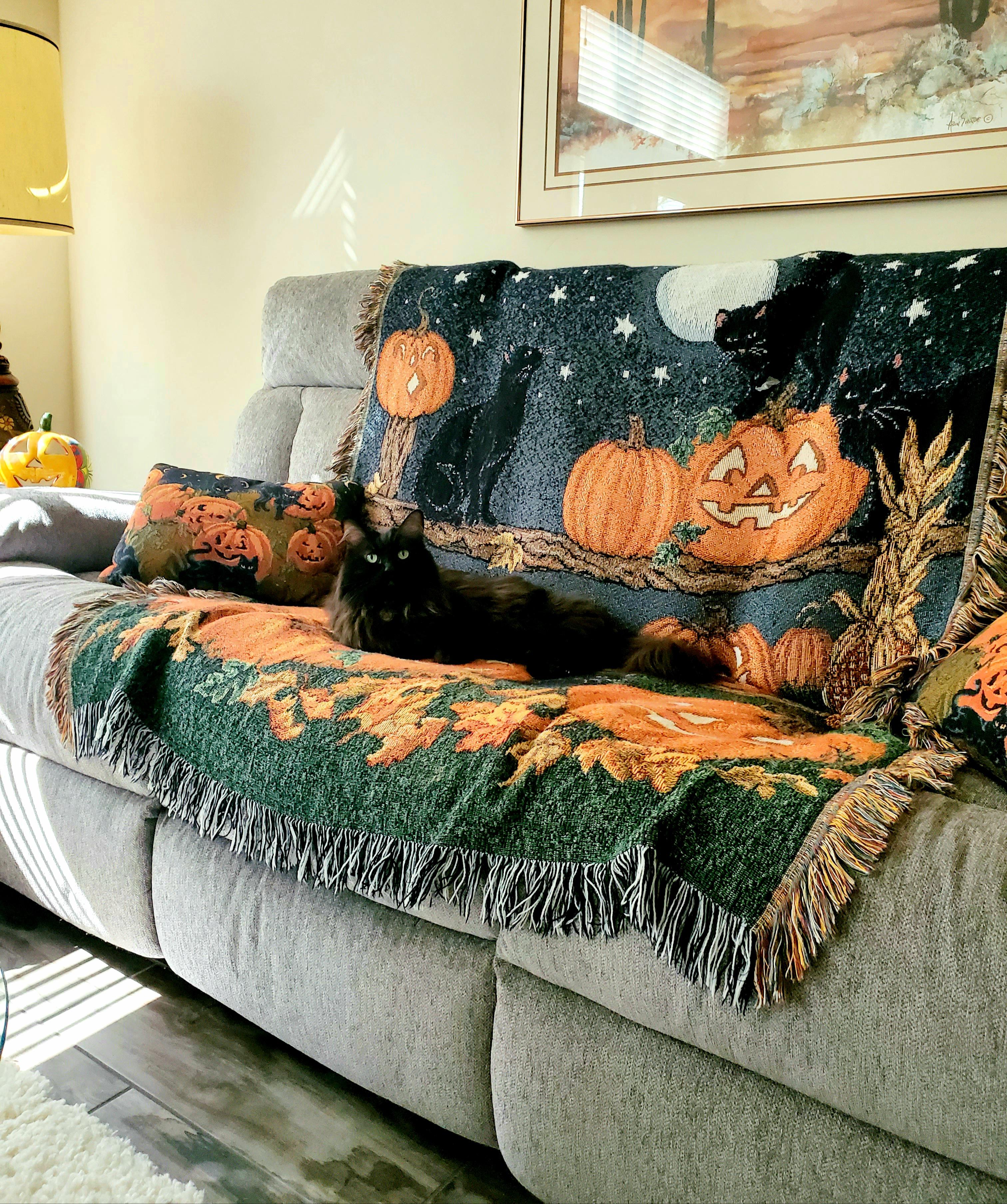Probably my favorite Halloween thrift find, this throw blanket and