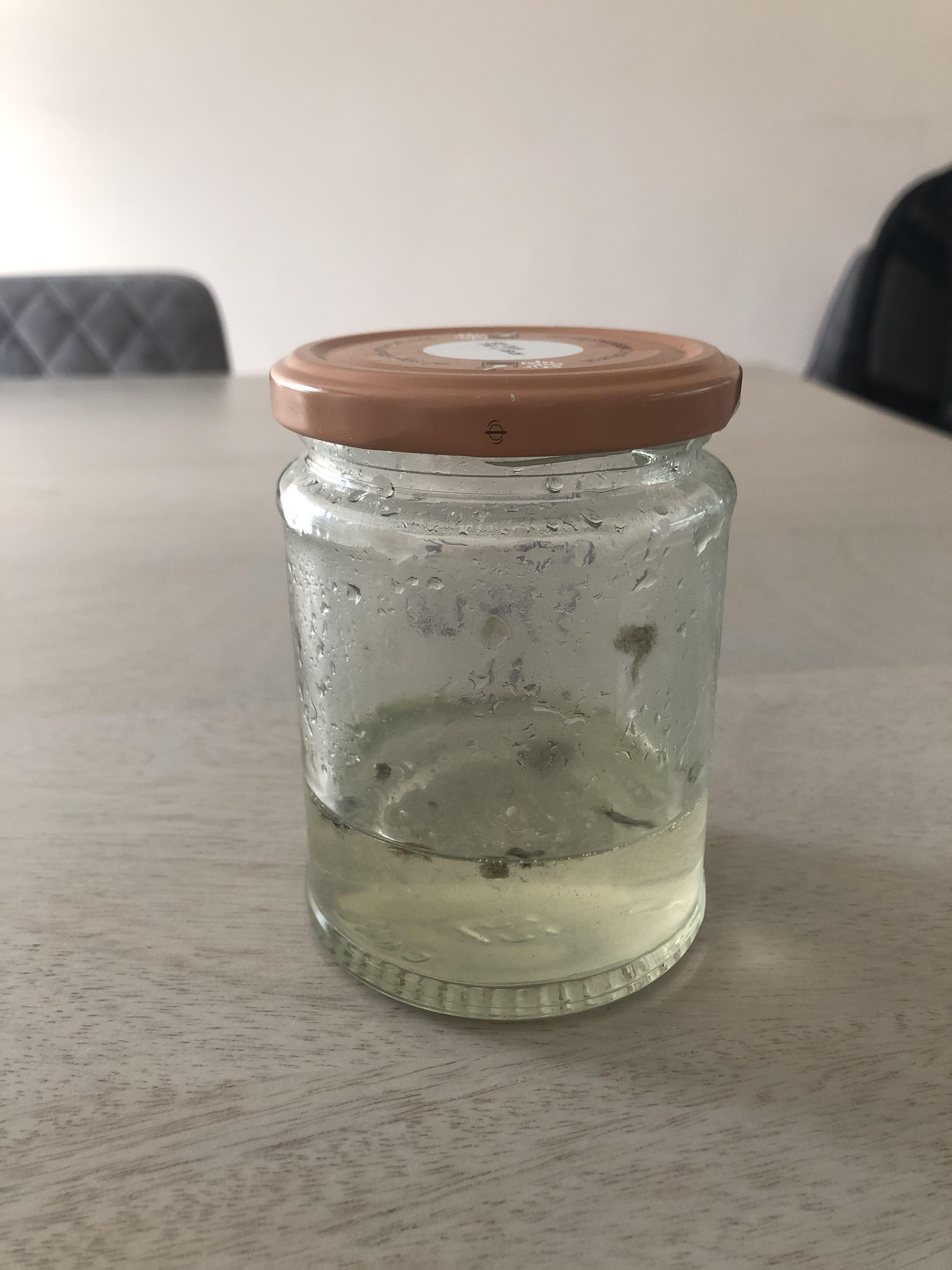 Made some simple syrup a few weeks ago. Now it’s developed some mould