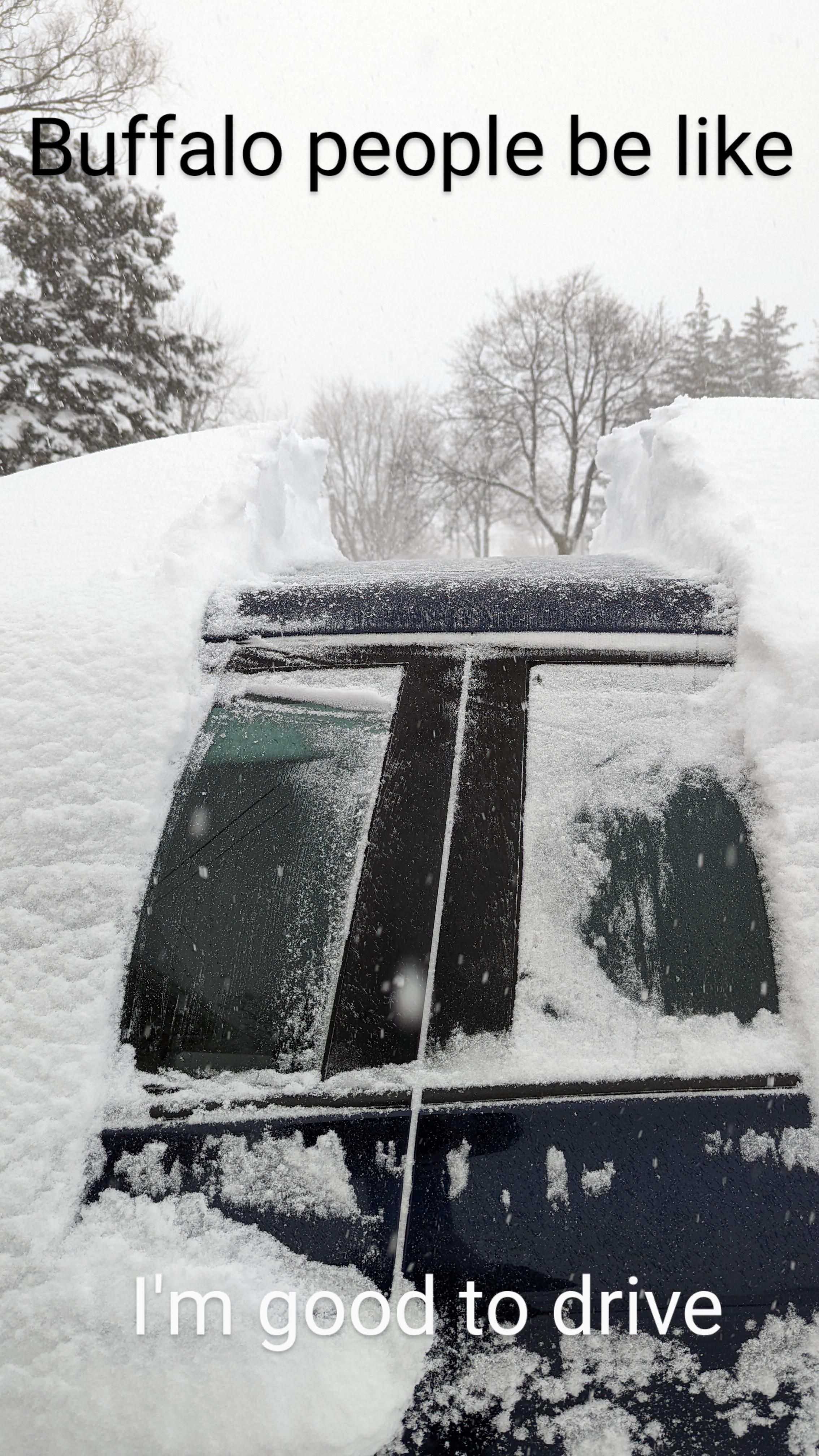 Jokes aside, clean your vehicles off before driving. Buffalo