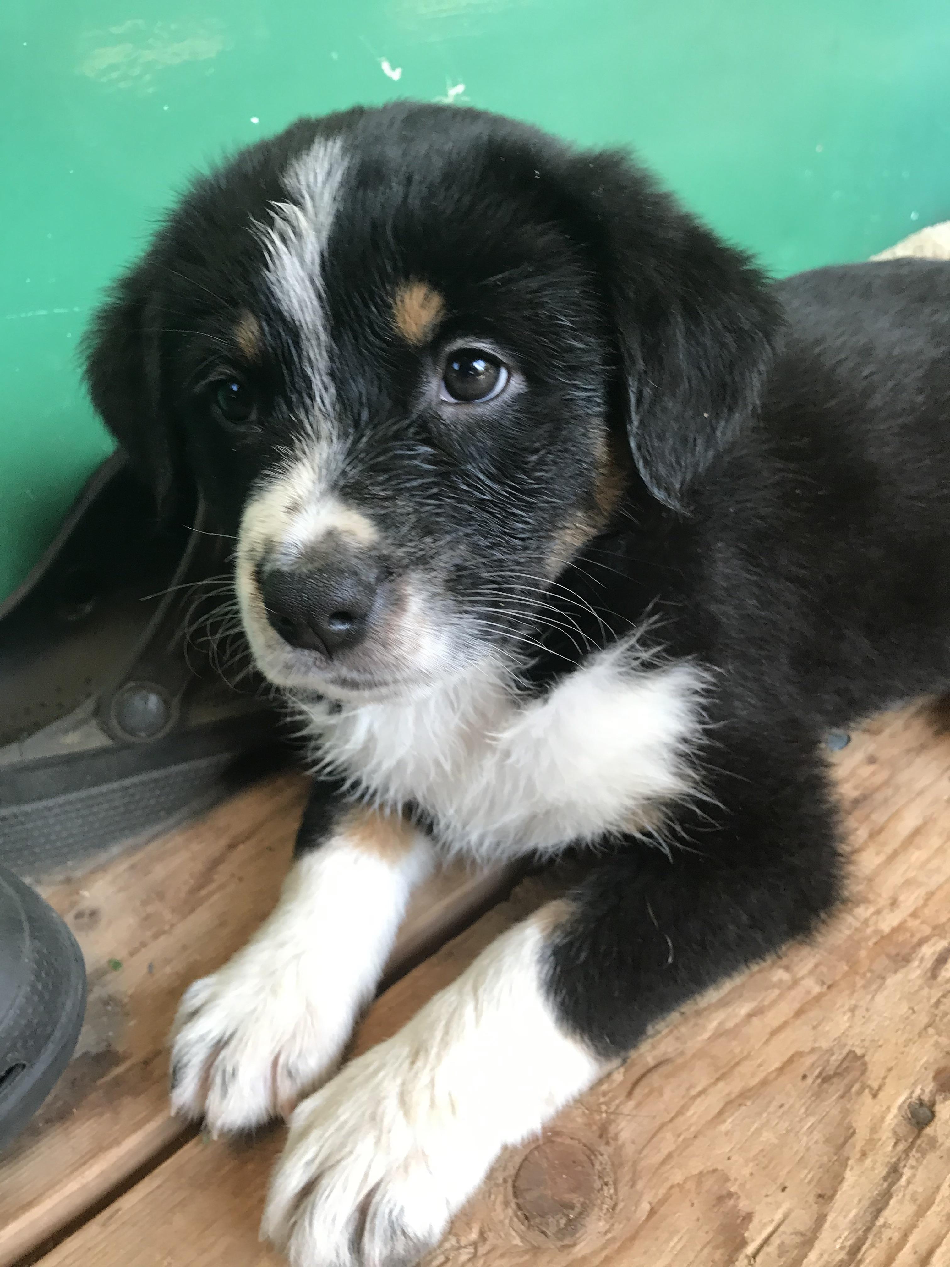 Just got her. No name yet to go on the jail paperwork. Definite repeat