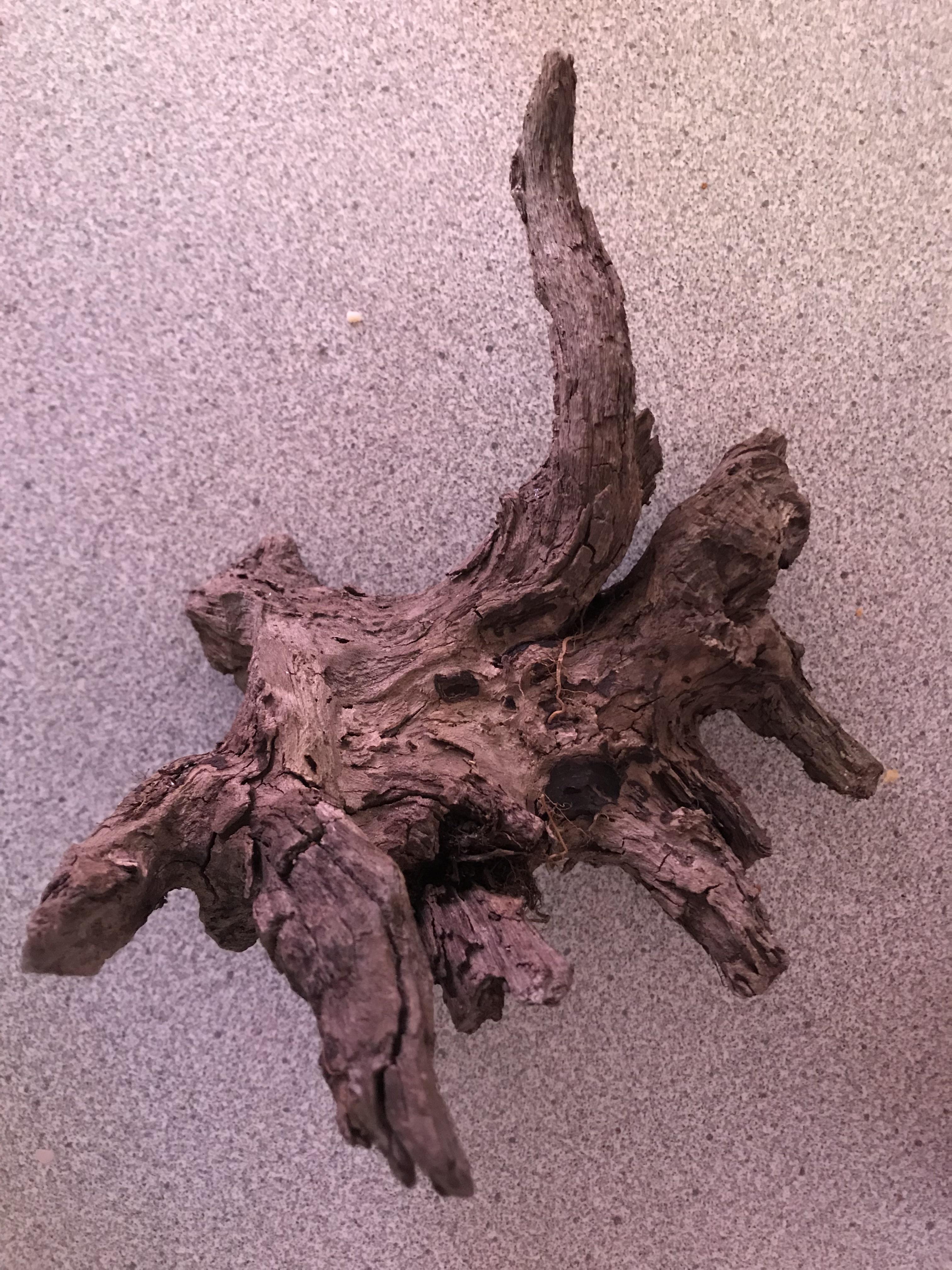 Hey guys I wanted to use this piece of wood in my aquarium and I’m not sure if it’s safe to do