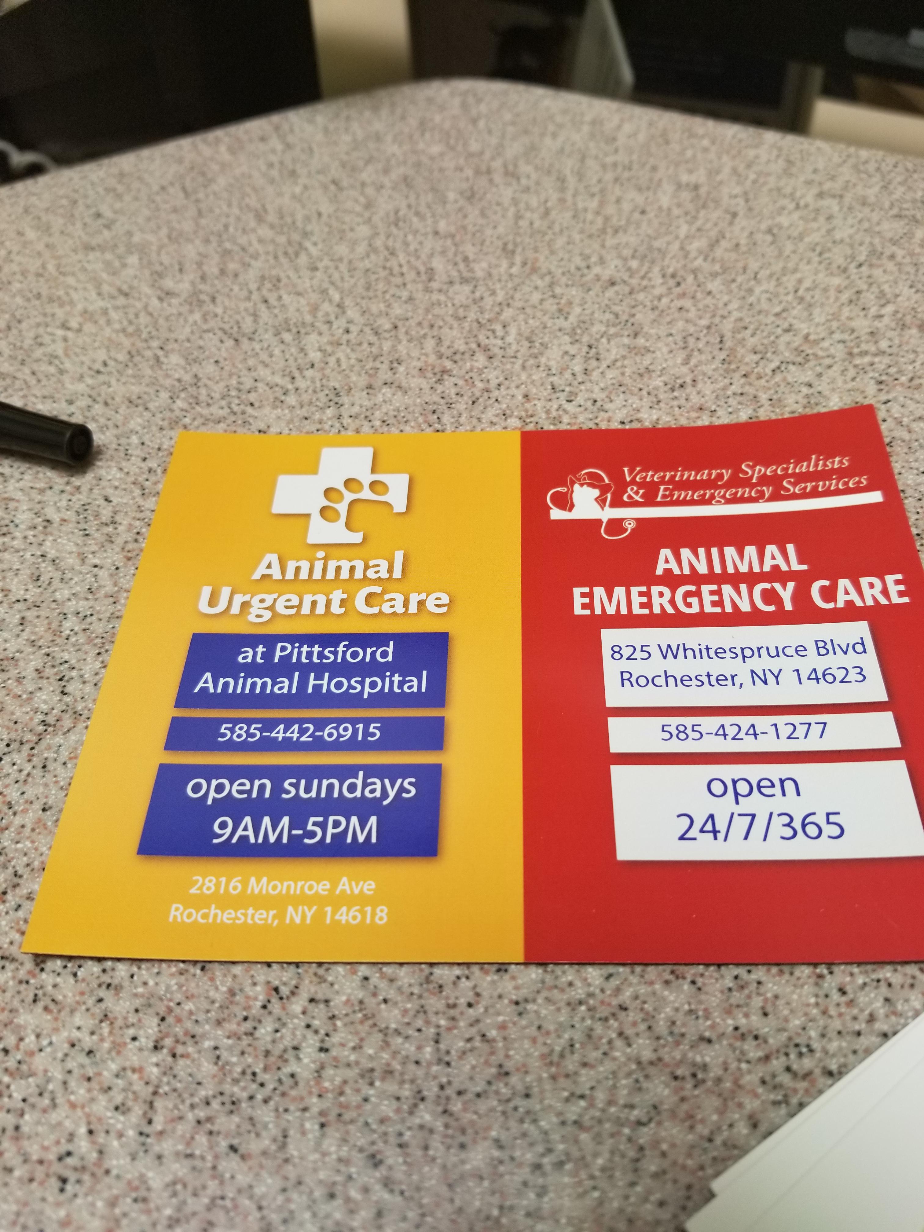 Animal Urgent Care Numbers r/Rochester