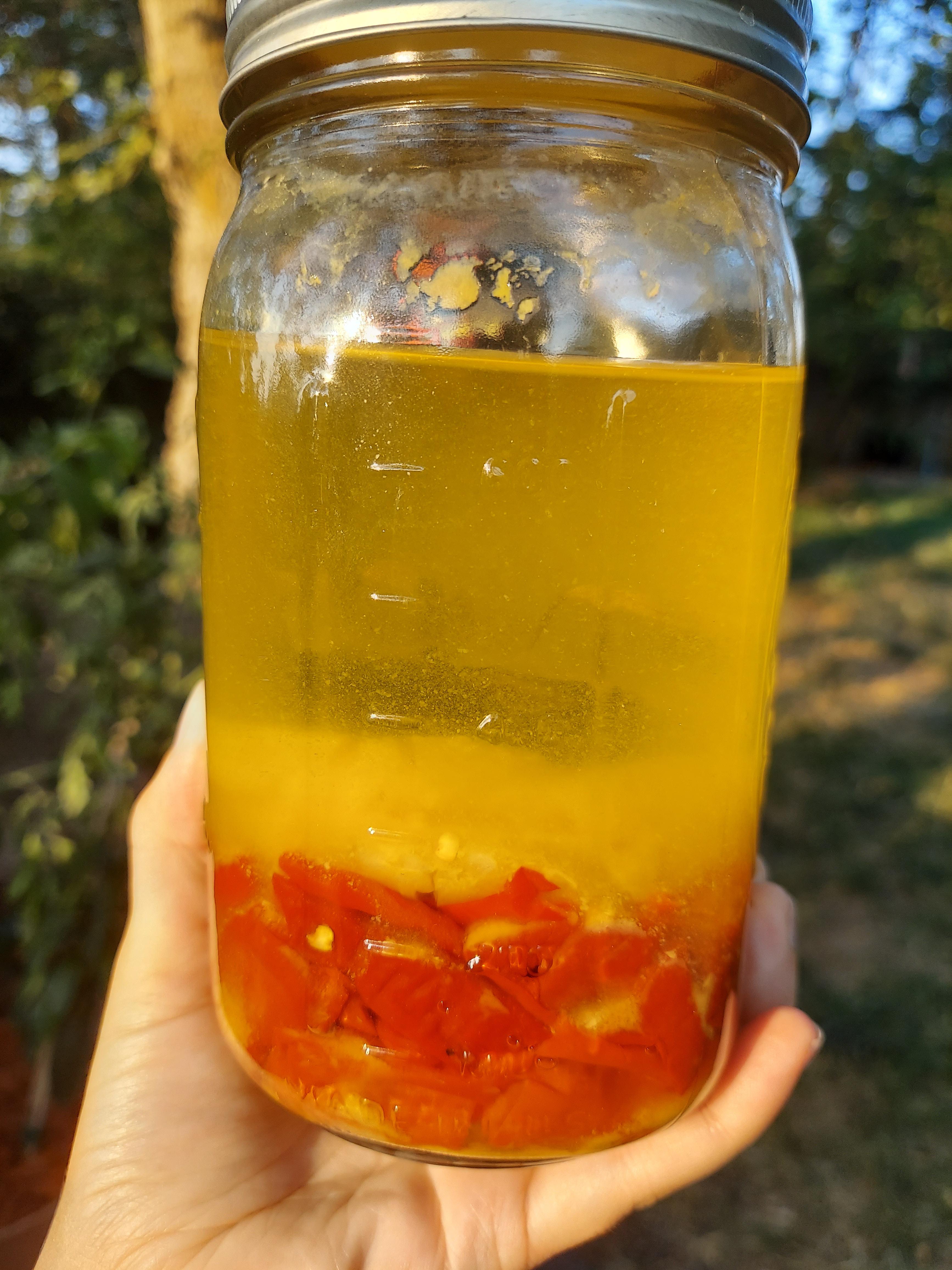 I about this Thai chili + canned pineapple ferment for a little