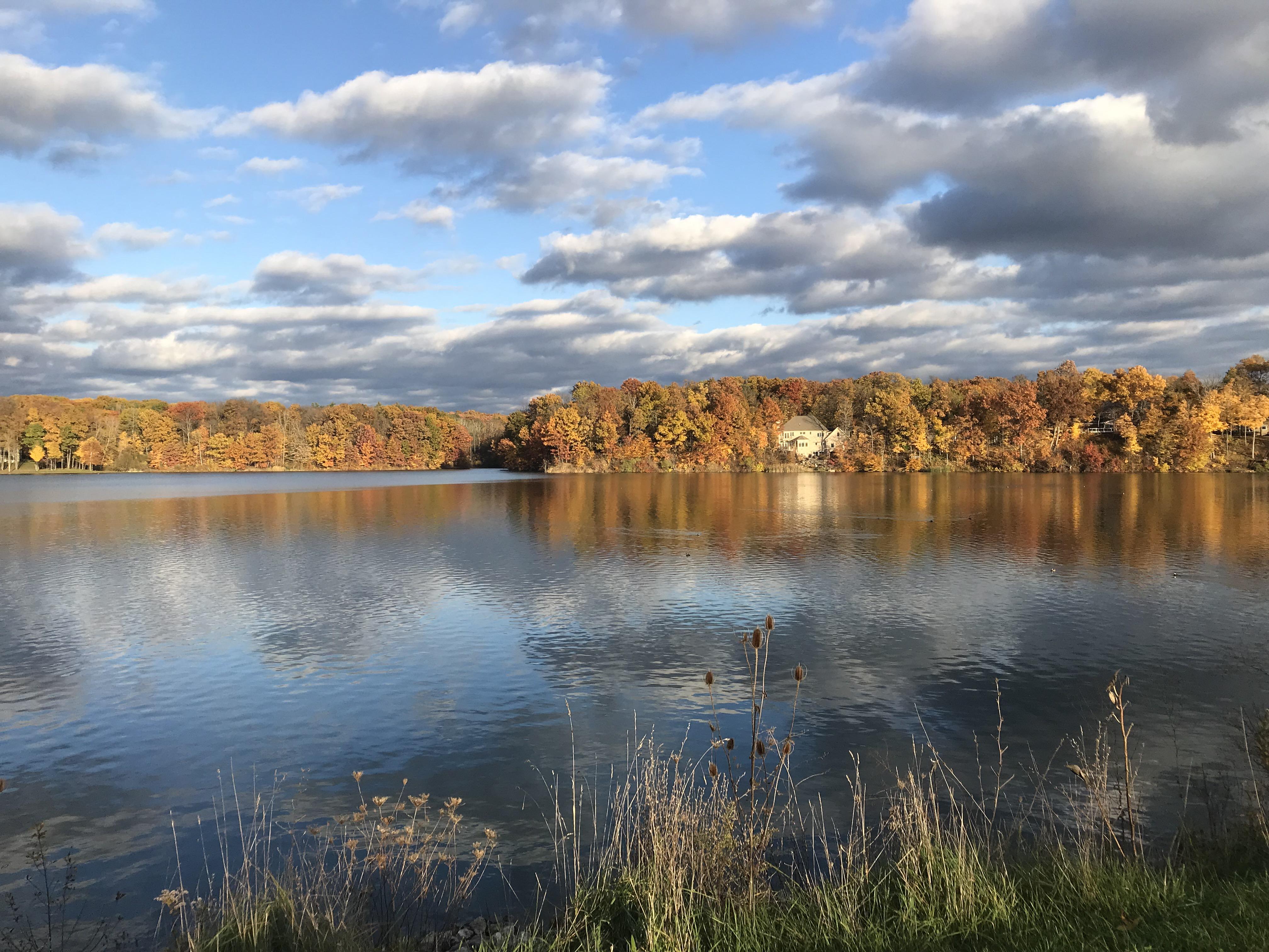 Medina Lake r/Cleveland