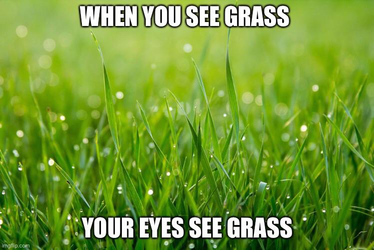 Grass Meme