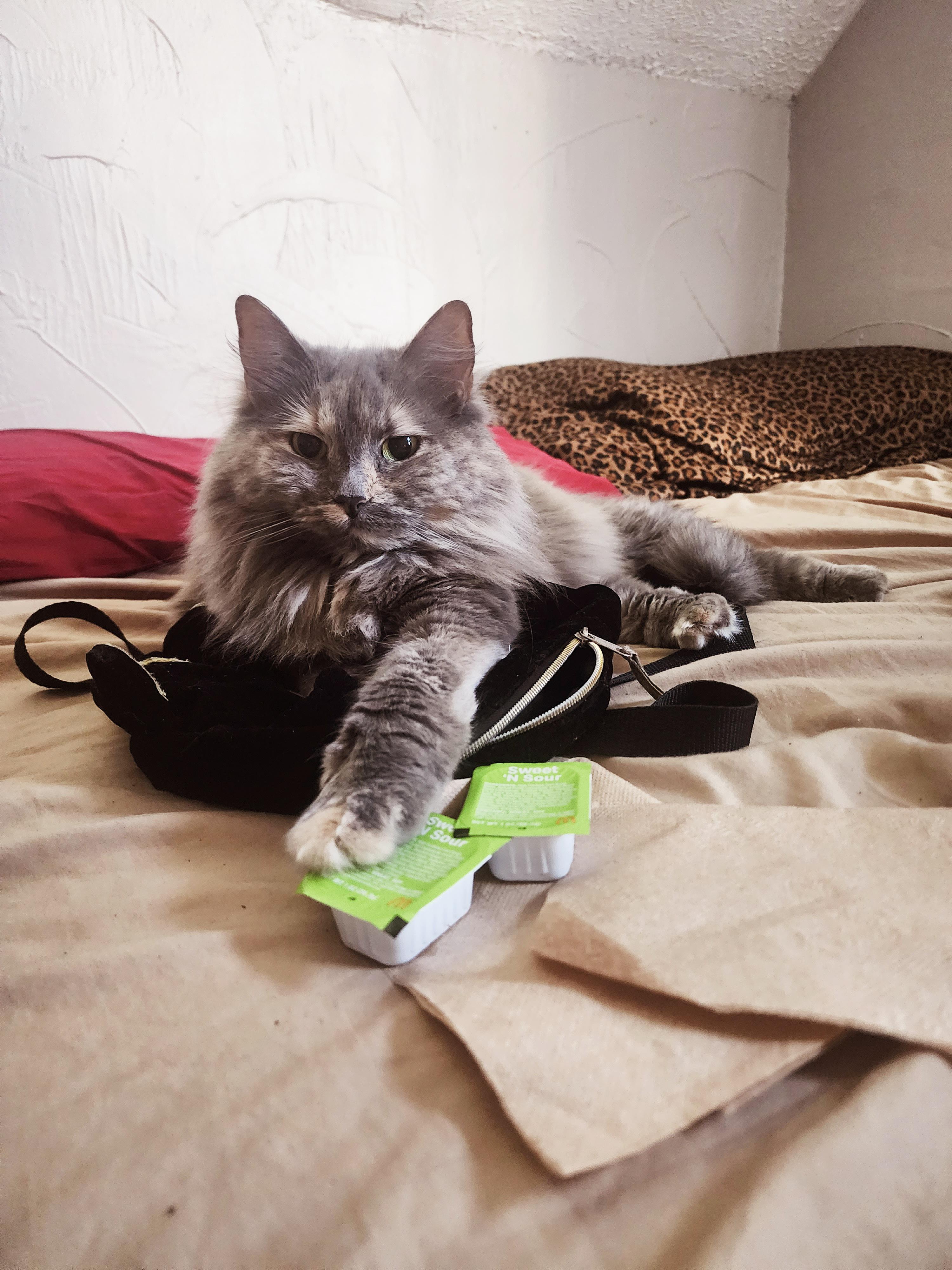 102 best u/smil3y420x images on Pholder | SSBBW Pears, Ssbbw and Part