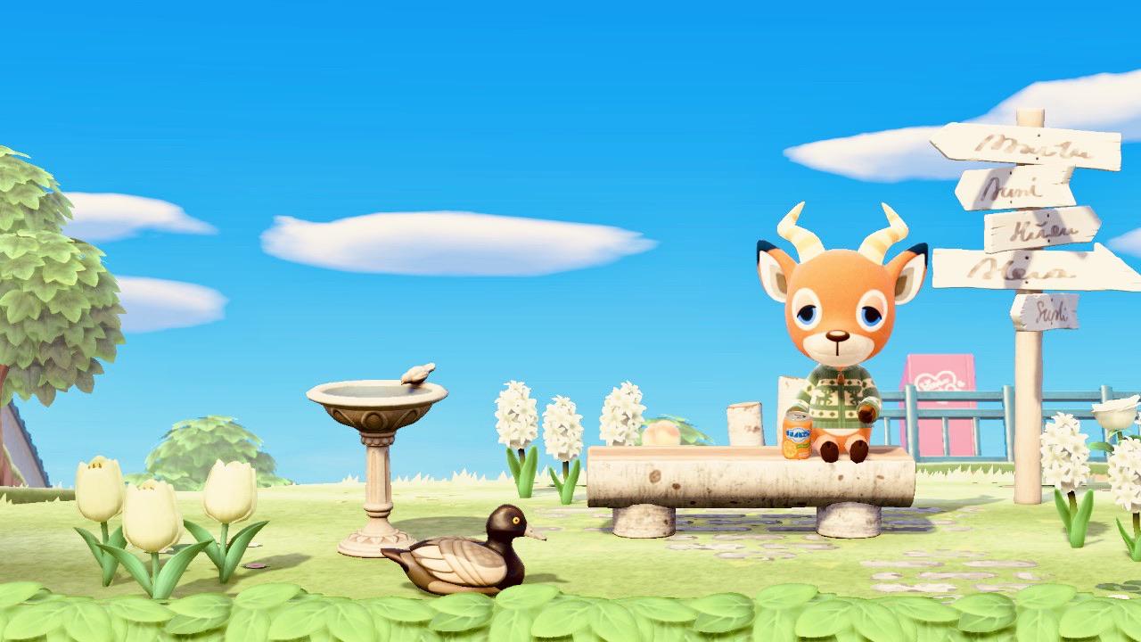 [LF] Pine bonsai tree [FT] cherry blossom bonsai tree r/AnimalCrossingTrading