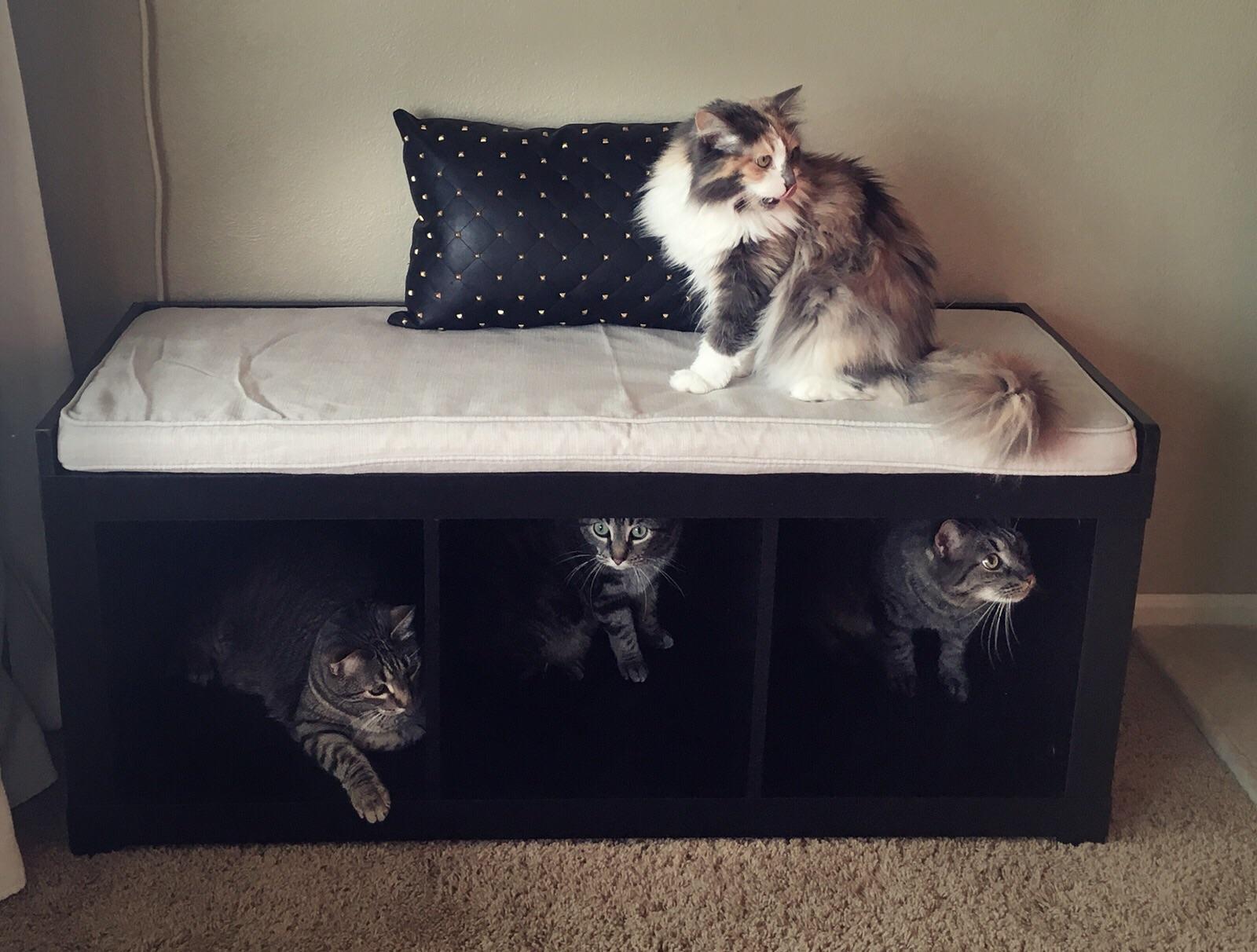 I didn’t buy this storage bench with the intention to organize and