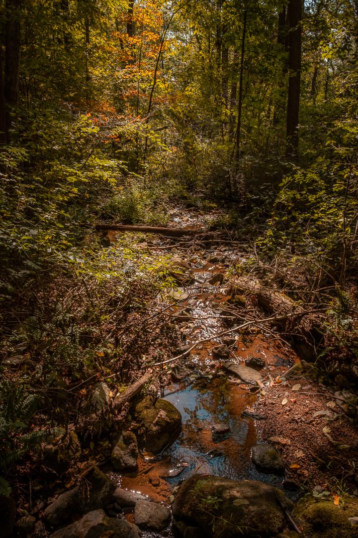 Teetertown Ravine Nature Preserve, NJ [OC] [720x1080] r/EarthPorn