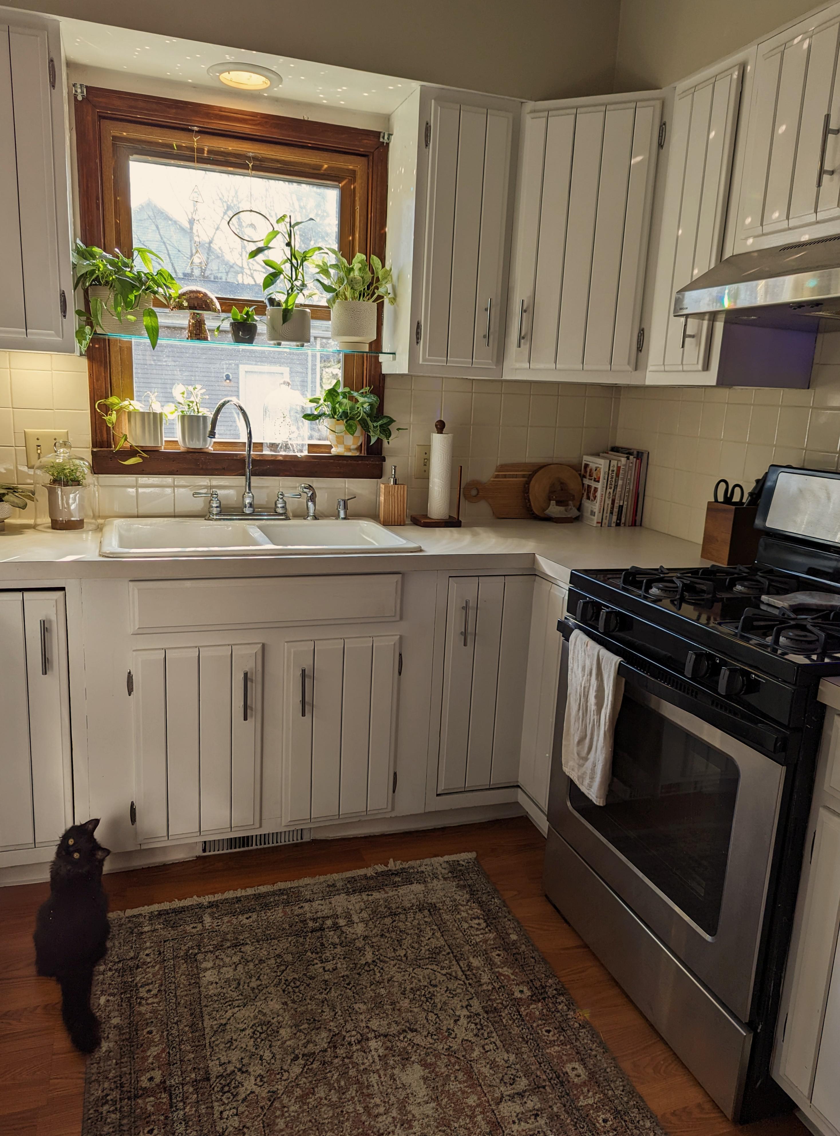 Best Kitchen Posts Reddit
