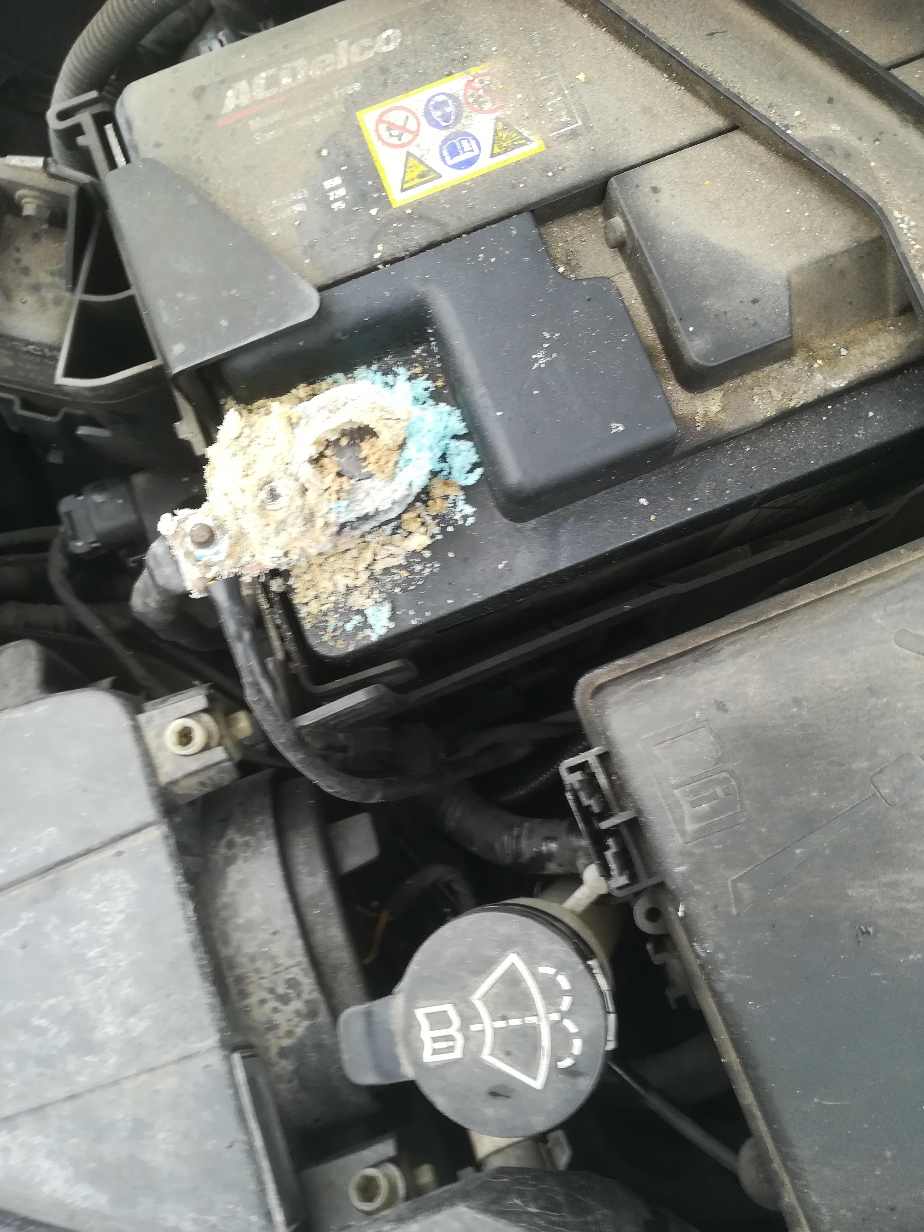 Whats that whiteblue stuff on the battery? r/Cartalk