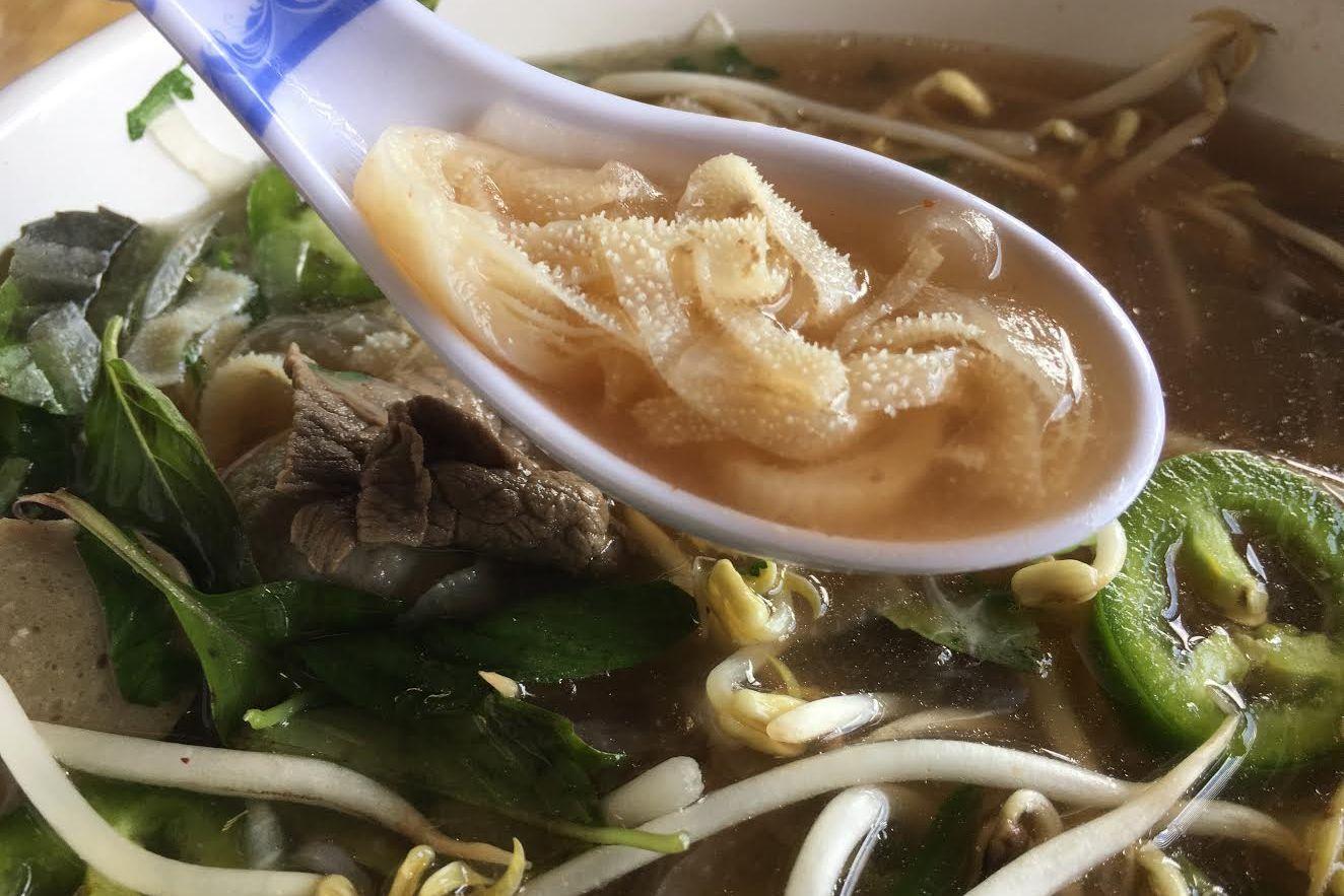 You like tripe in your pho? r/pho