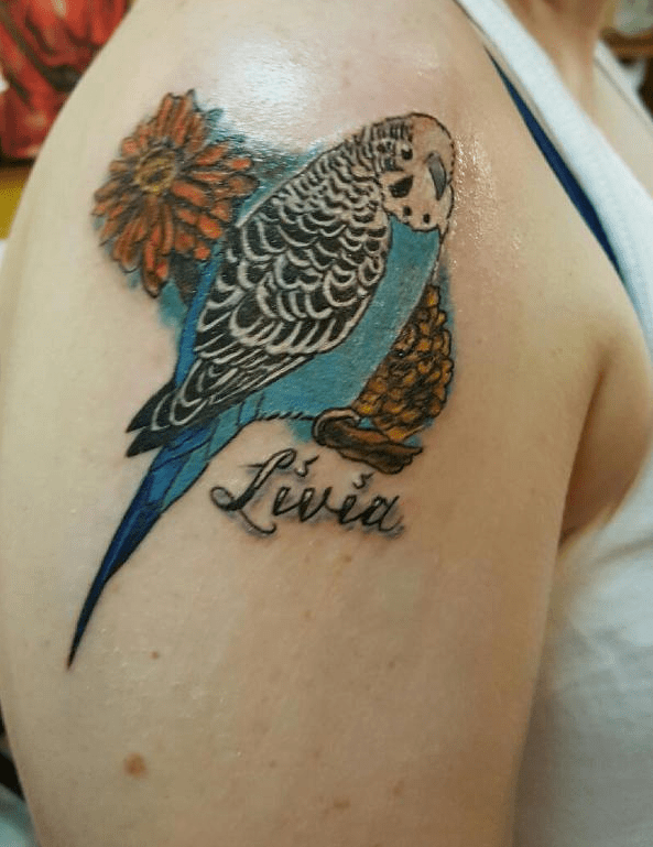 Livia memorial of a budgie tattoo by Jason Ward of Star