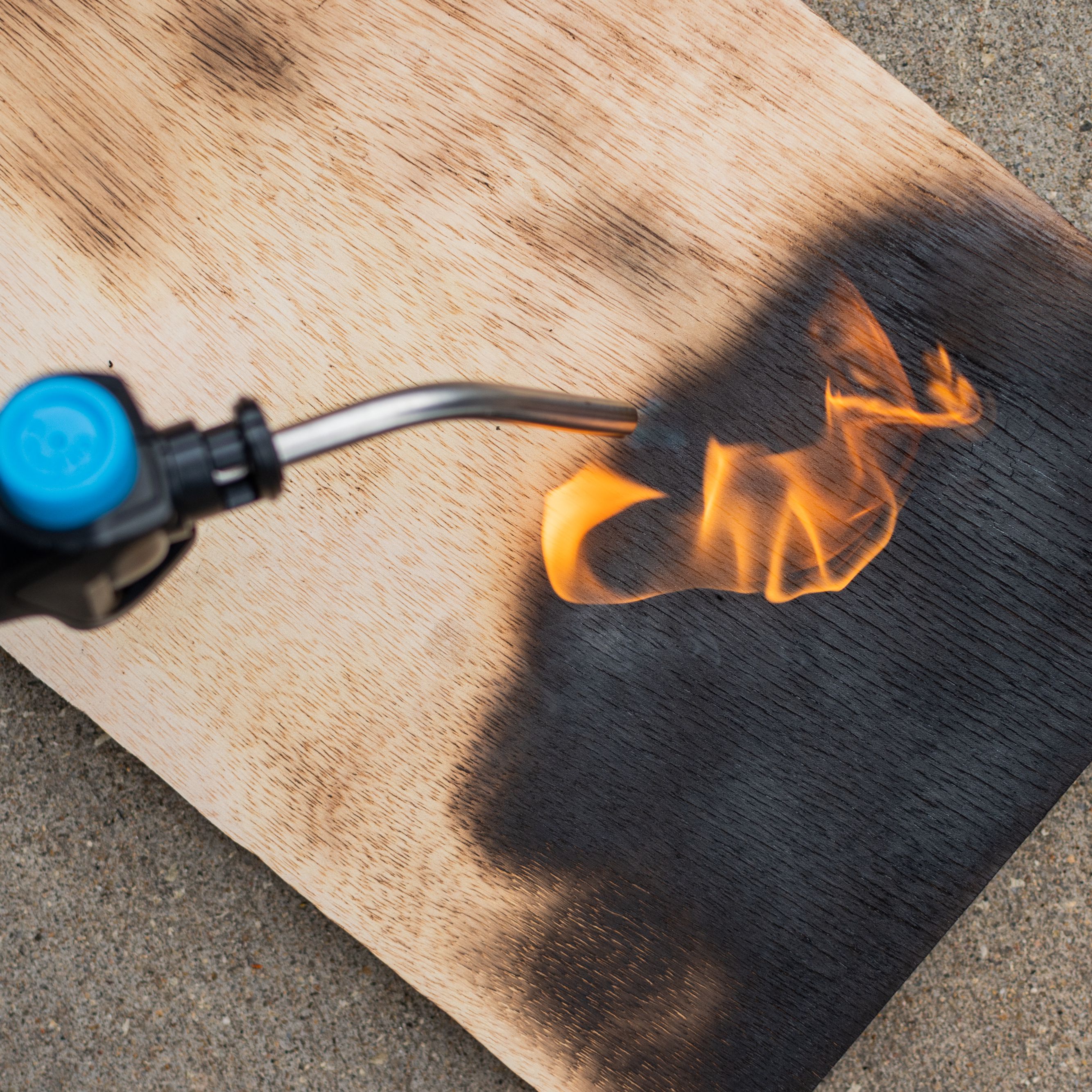 Eating Burning wood r/thomastheplankengine