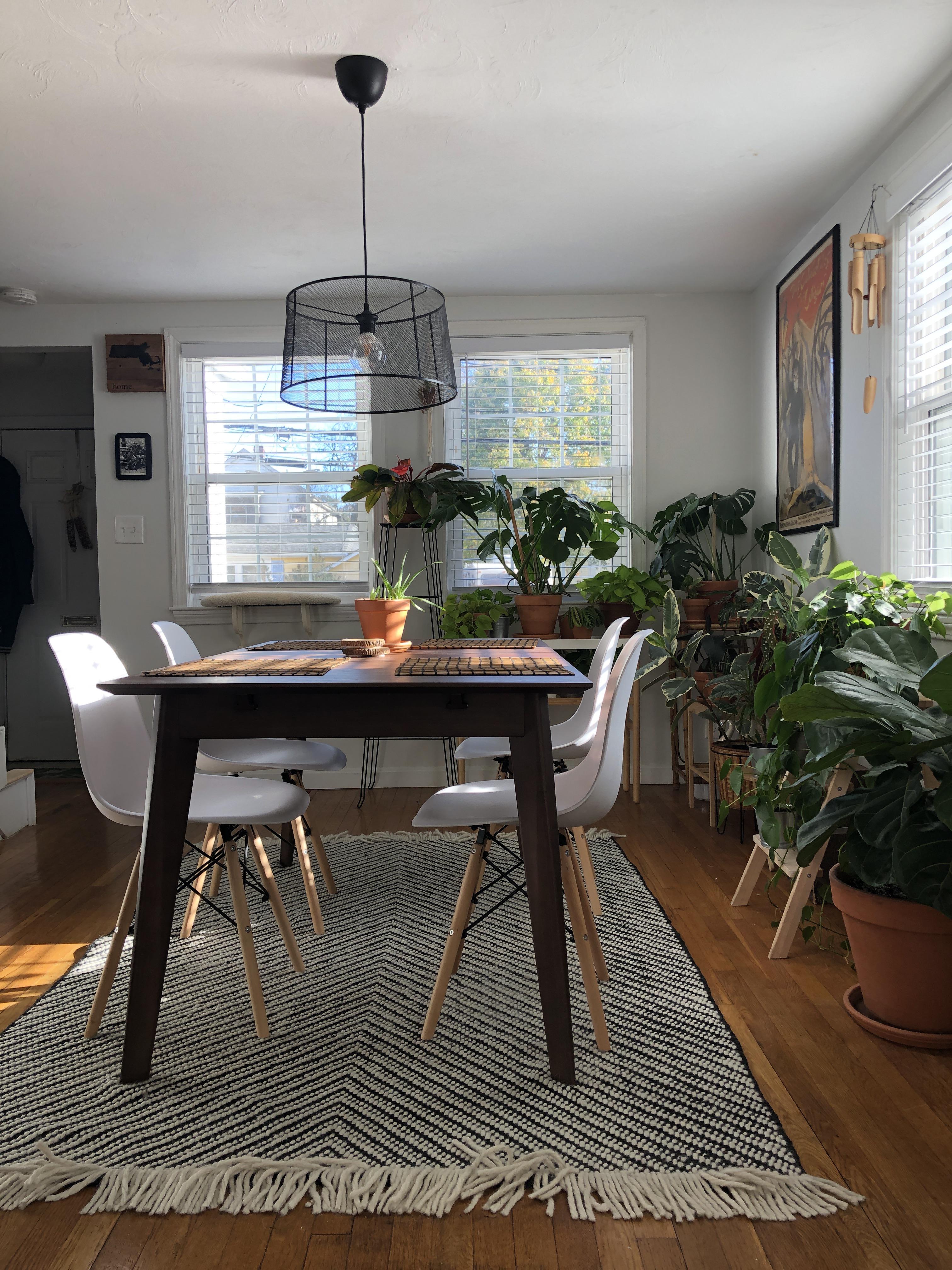dining room/plant room 1, boston r/AmateurRoomPorn