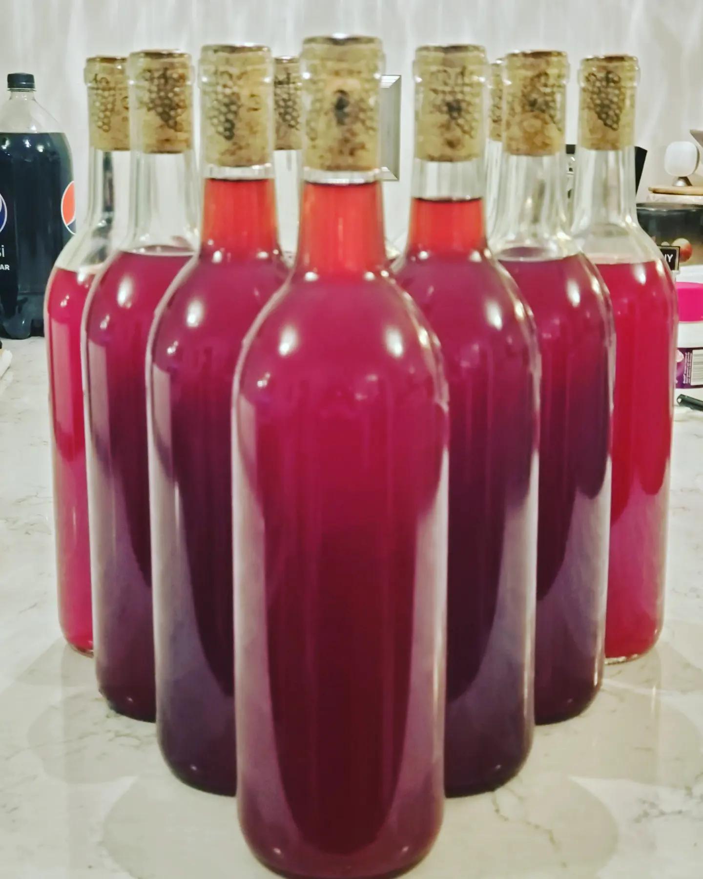 First time Raspberry Mead (Info in comments) r/mead