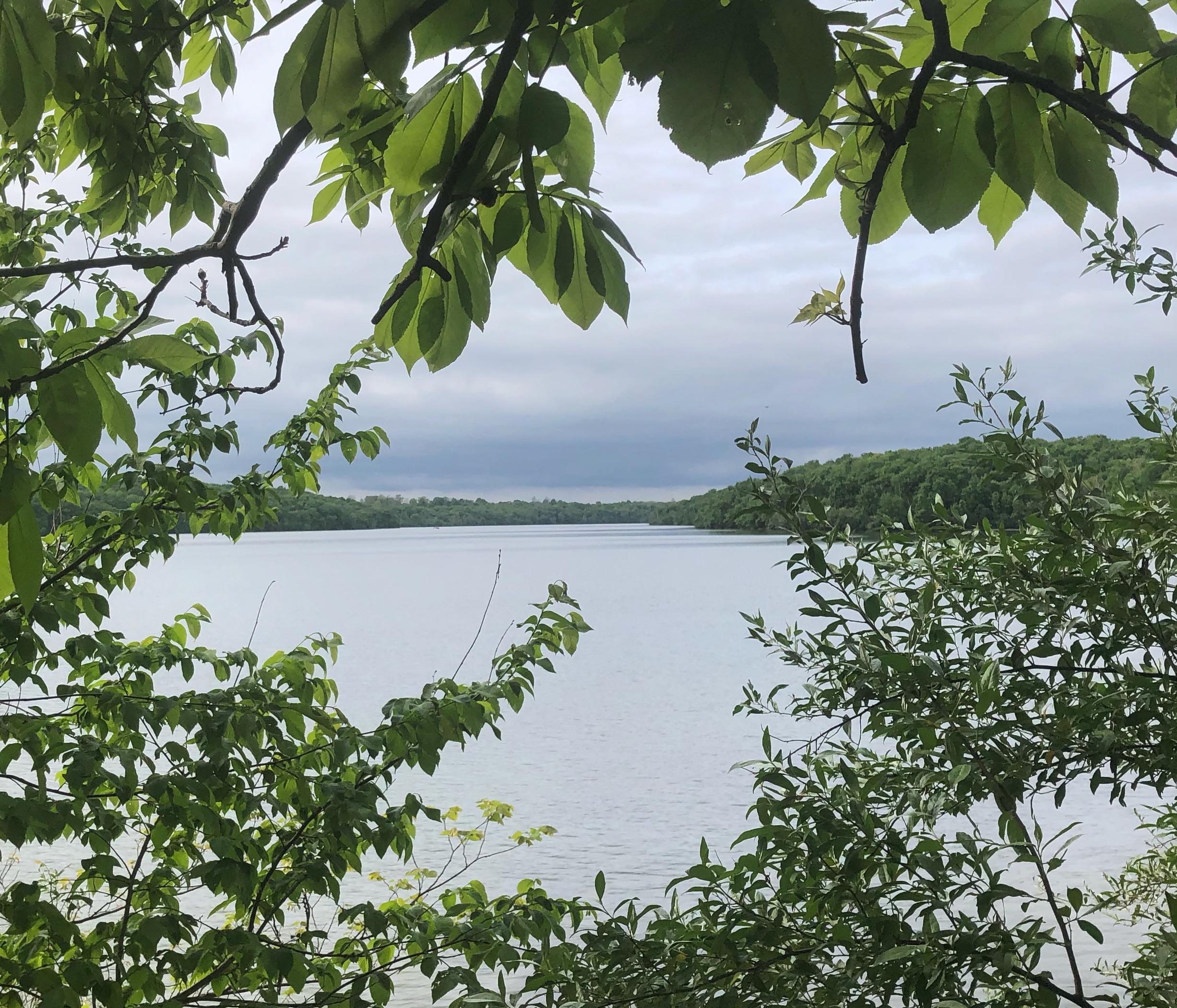 Lake from the Mattonen trail 5/15/20 r/kansascity