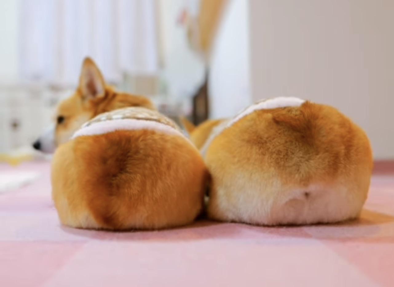 Forbidden loaf r/forbiddensnacks