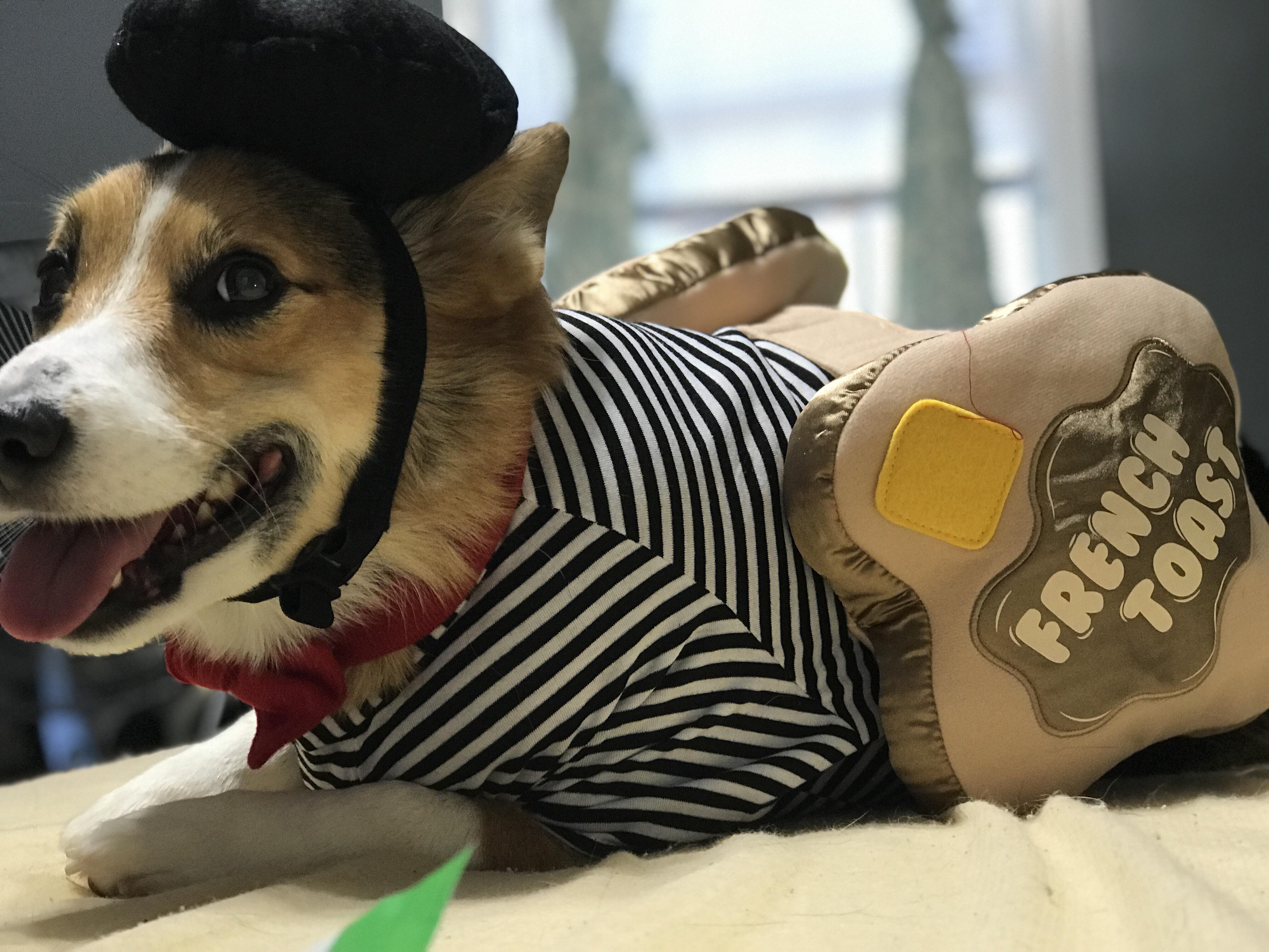 Halloween costume secured