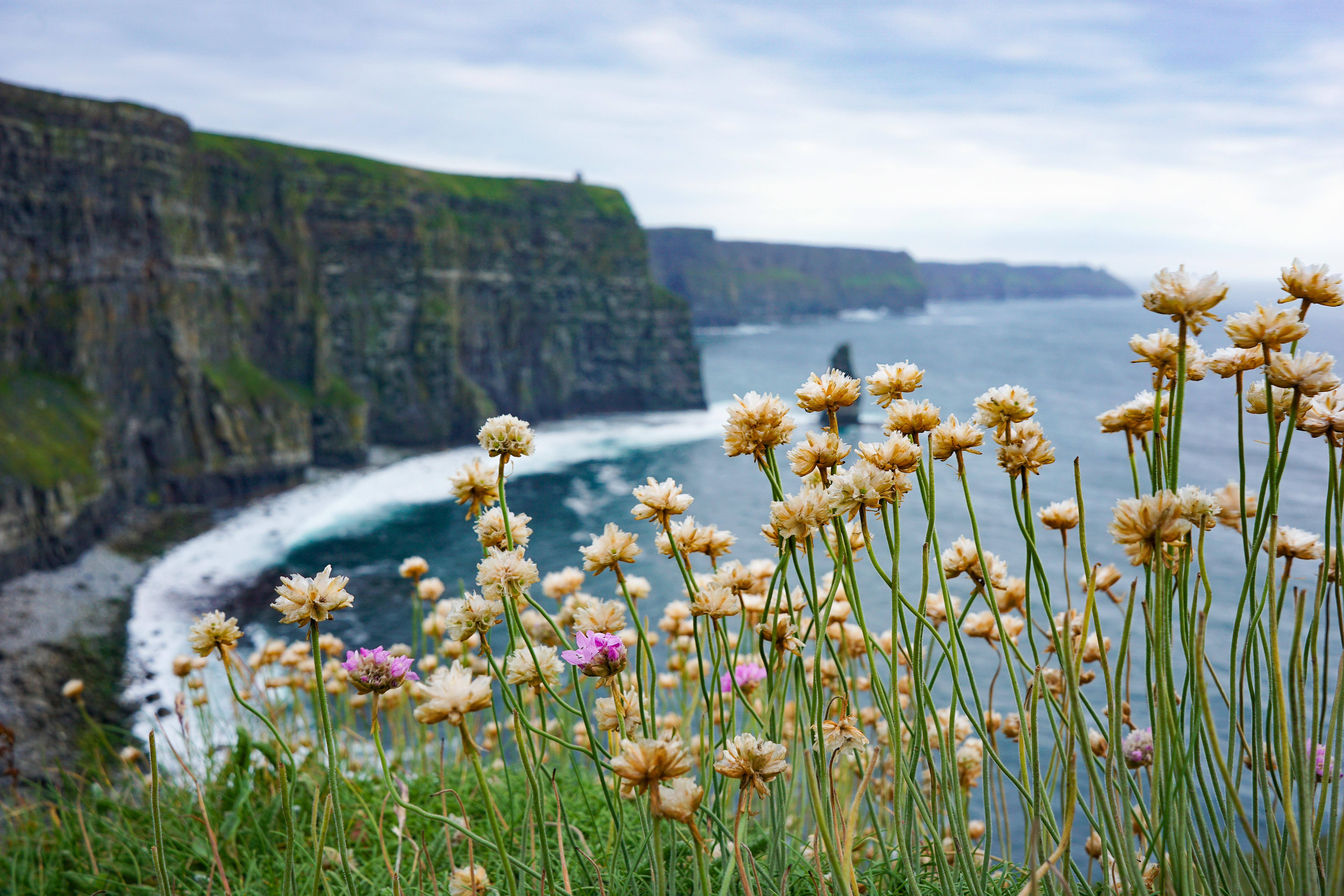 Everything is special at the Cliffs of Moher in Ireland, from the 700