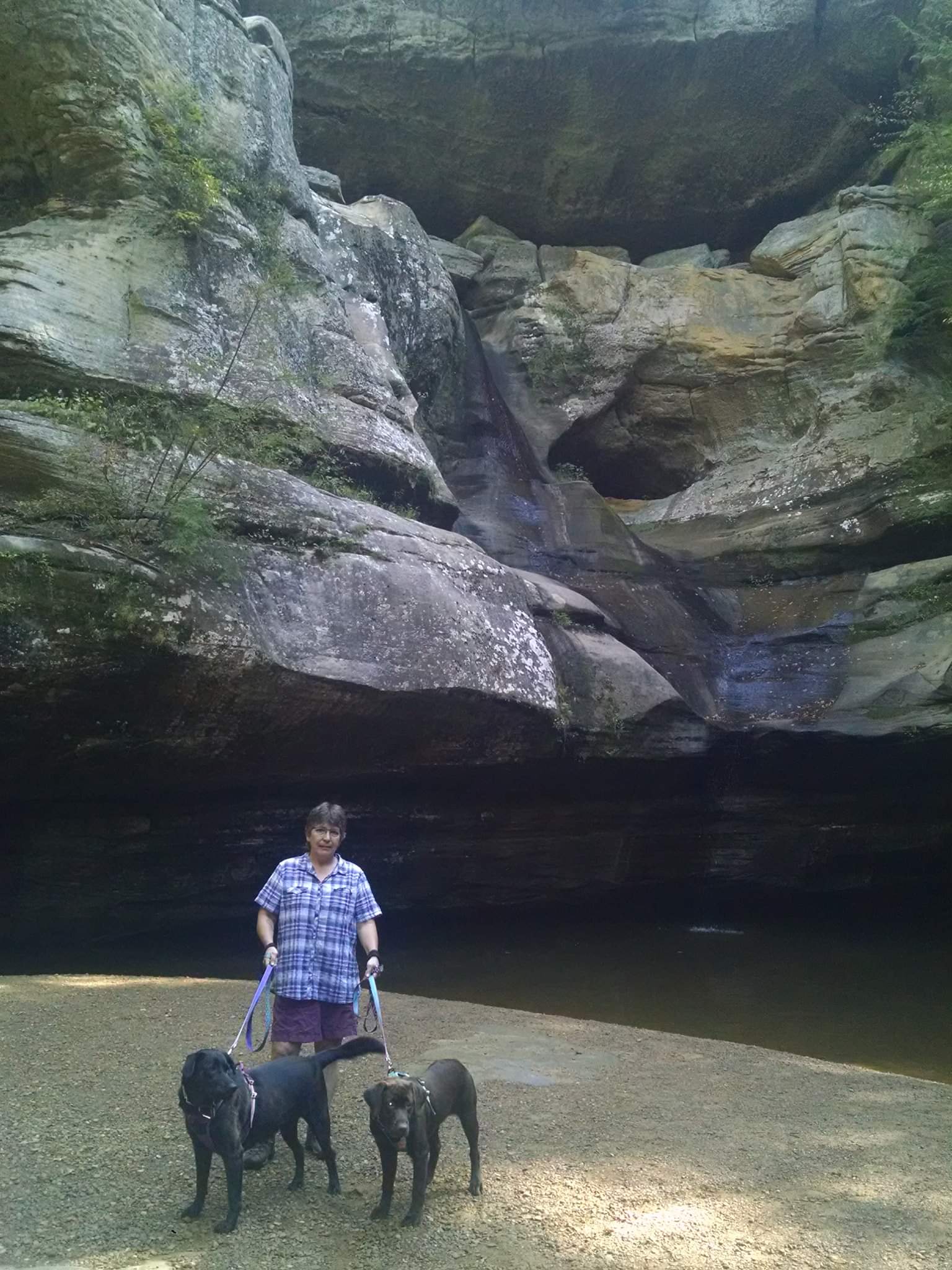 Vacation at Hocking Hills State Park, OH. Great place to take dogs