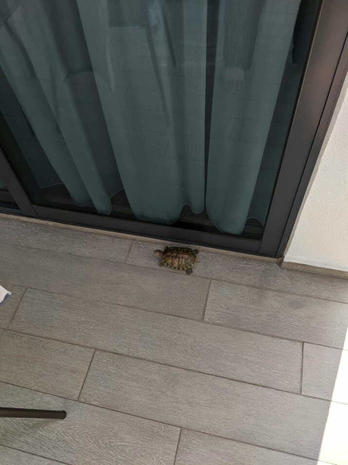 Best Terrapin Posts Reddit