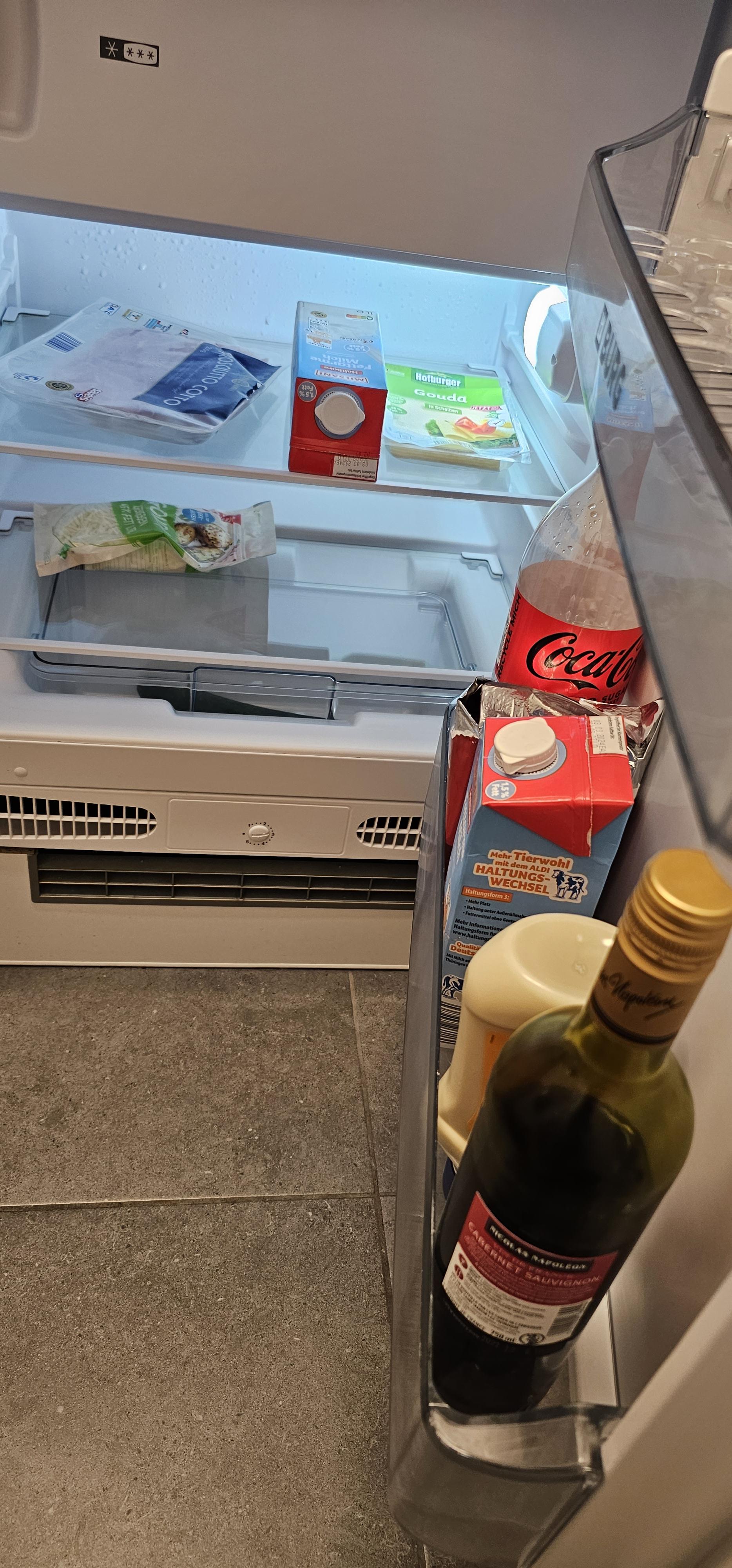 Who am I, why does my fridge look like this? r/FridgeDetective