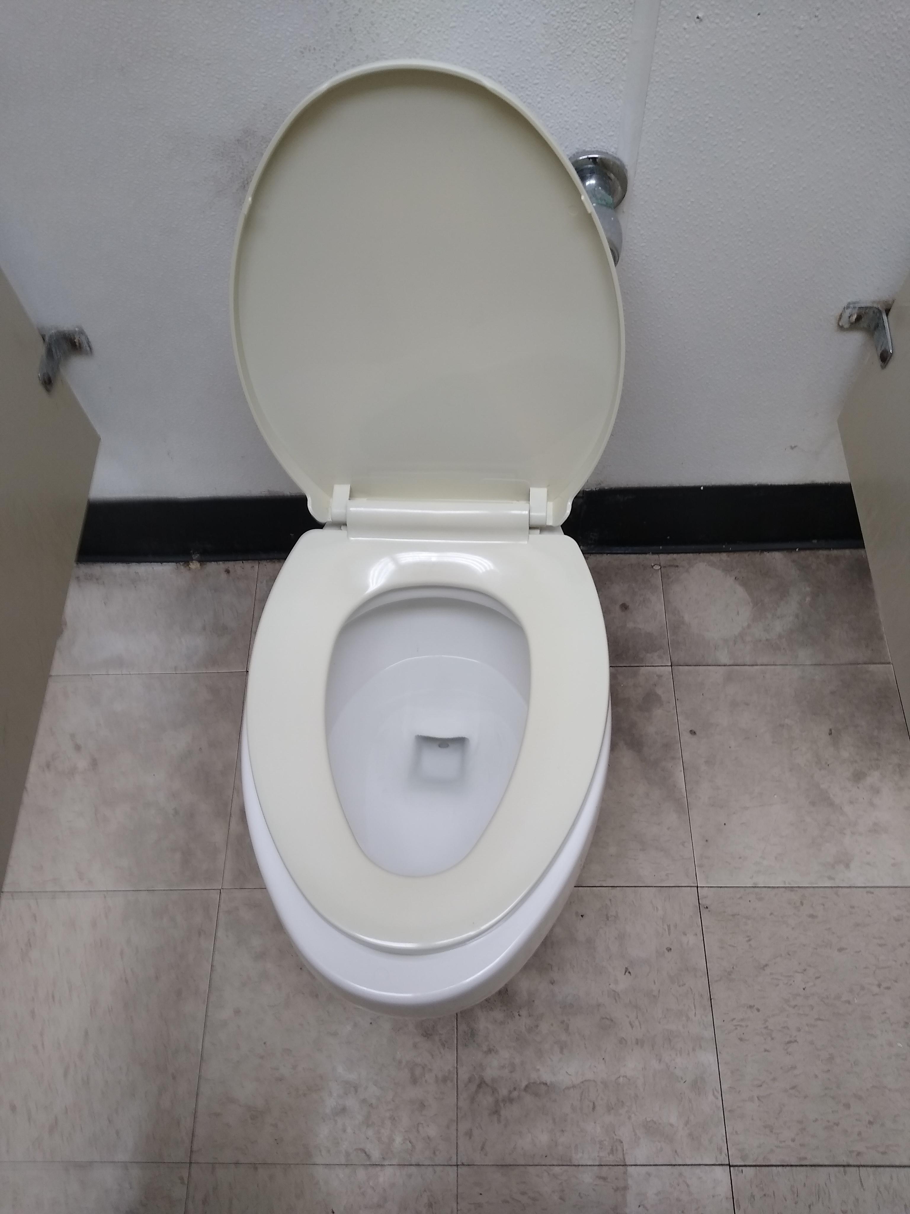 Toilet Seat is Too Small for the Toilet r/mildlyinfuriating