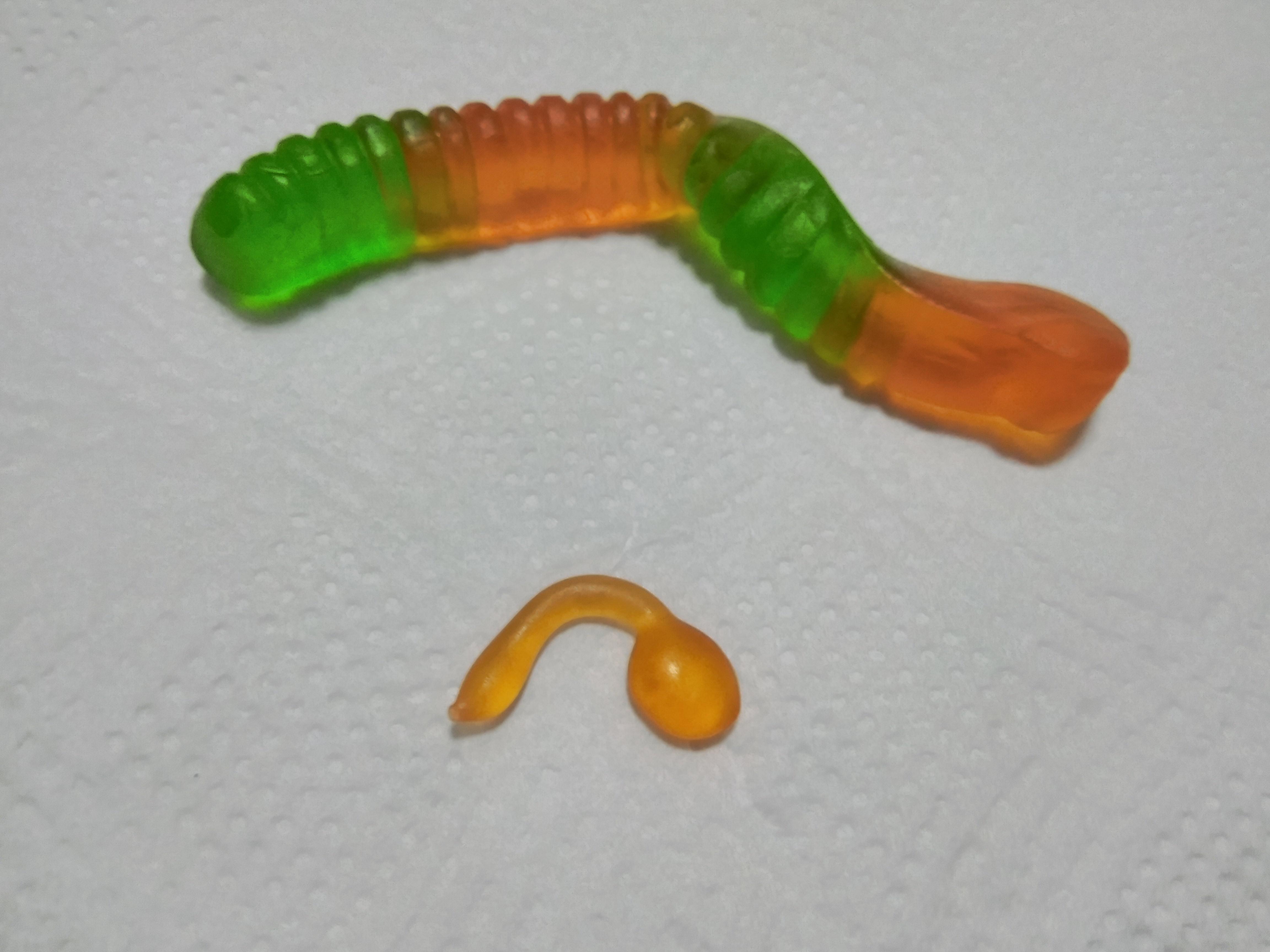 "My gummy worms came with a gummy sperm" r/BrandNewSentence