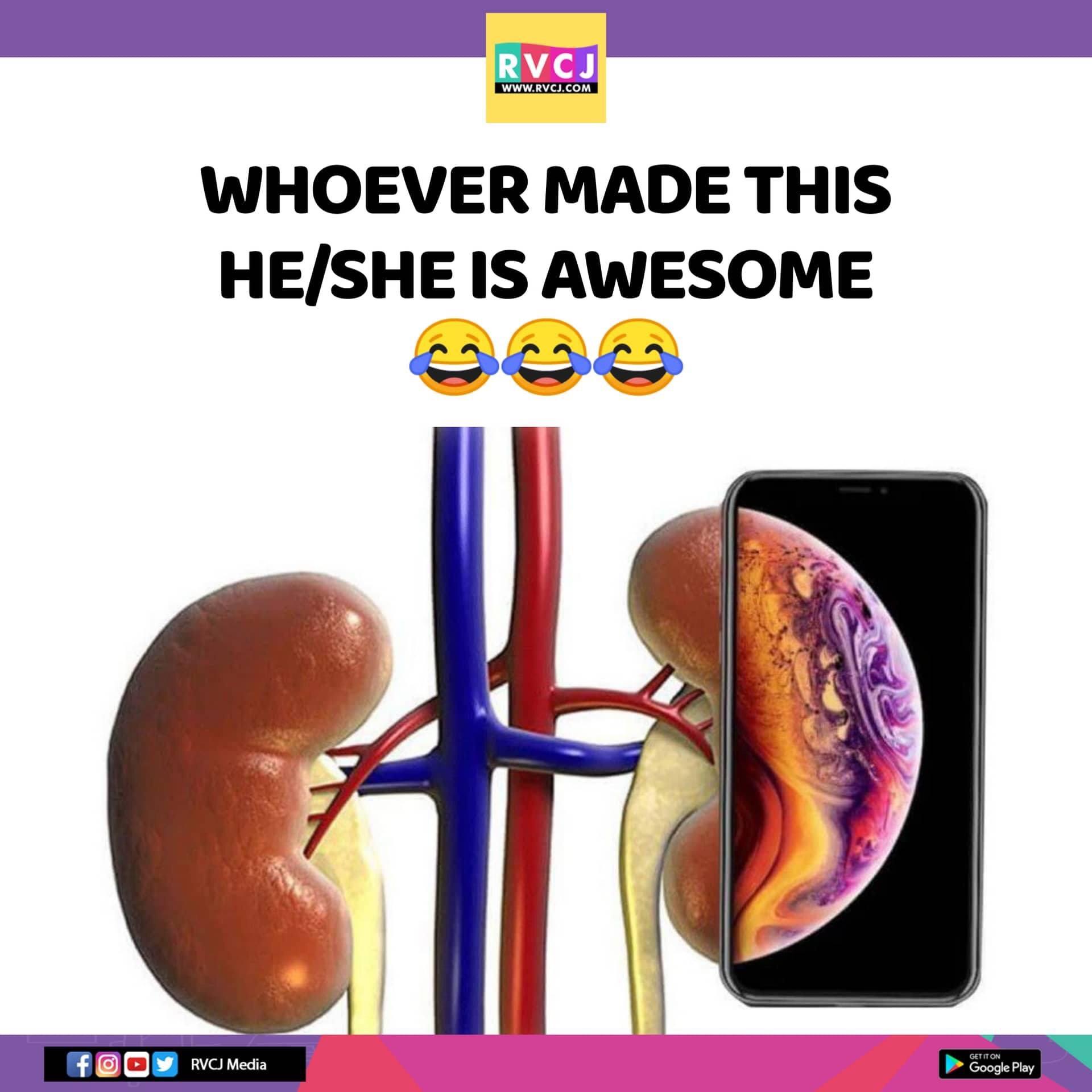 New iPhones? Release the kidney jokes!