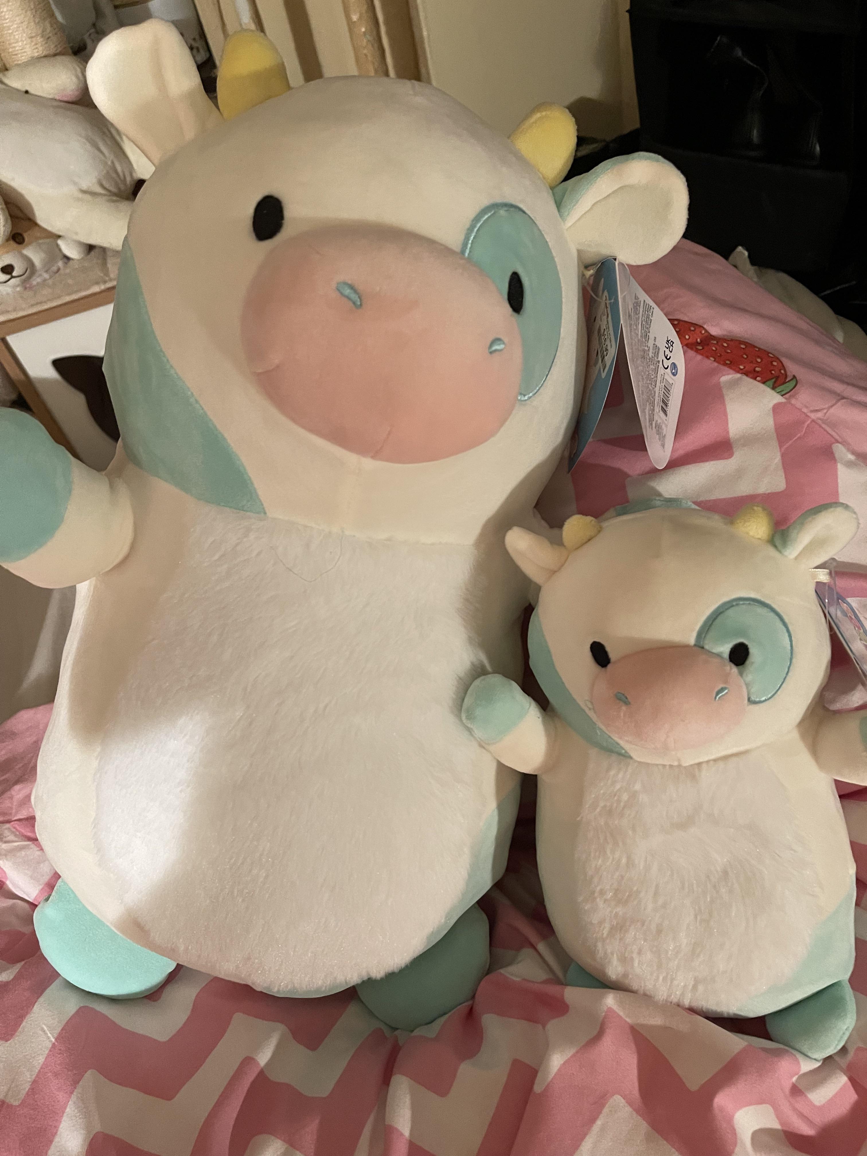 Me, a full grown 25 yr old woman, almost started crying in homegoods