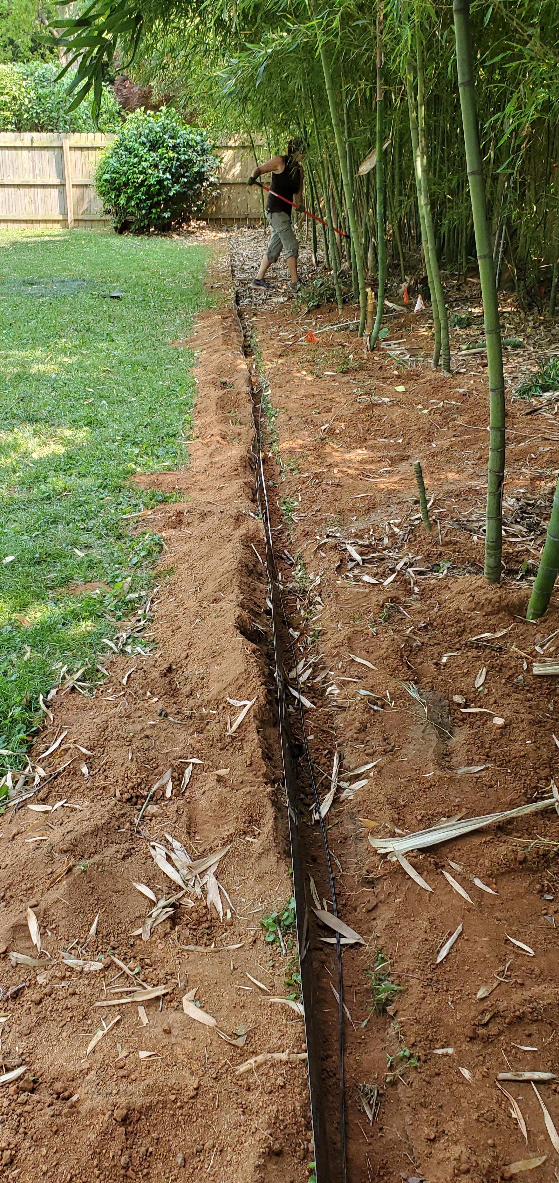 Bamboo Infestation! Bamboo