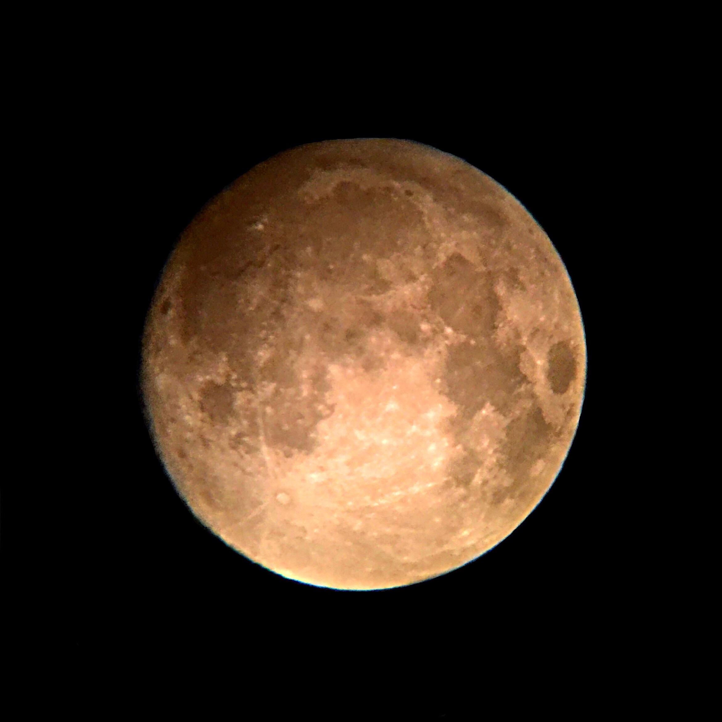 The moon looked a little orange tonight pics