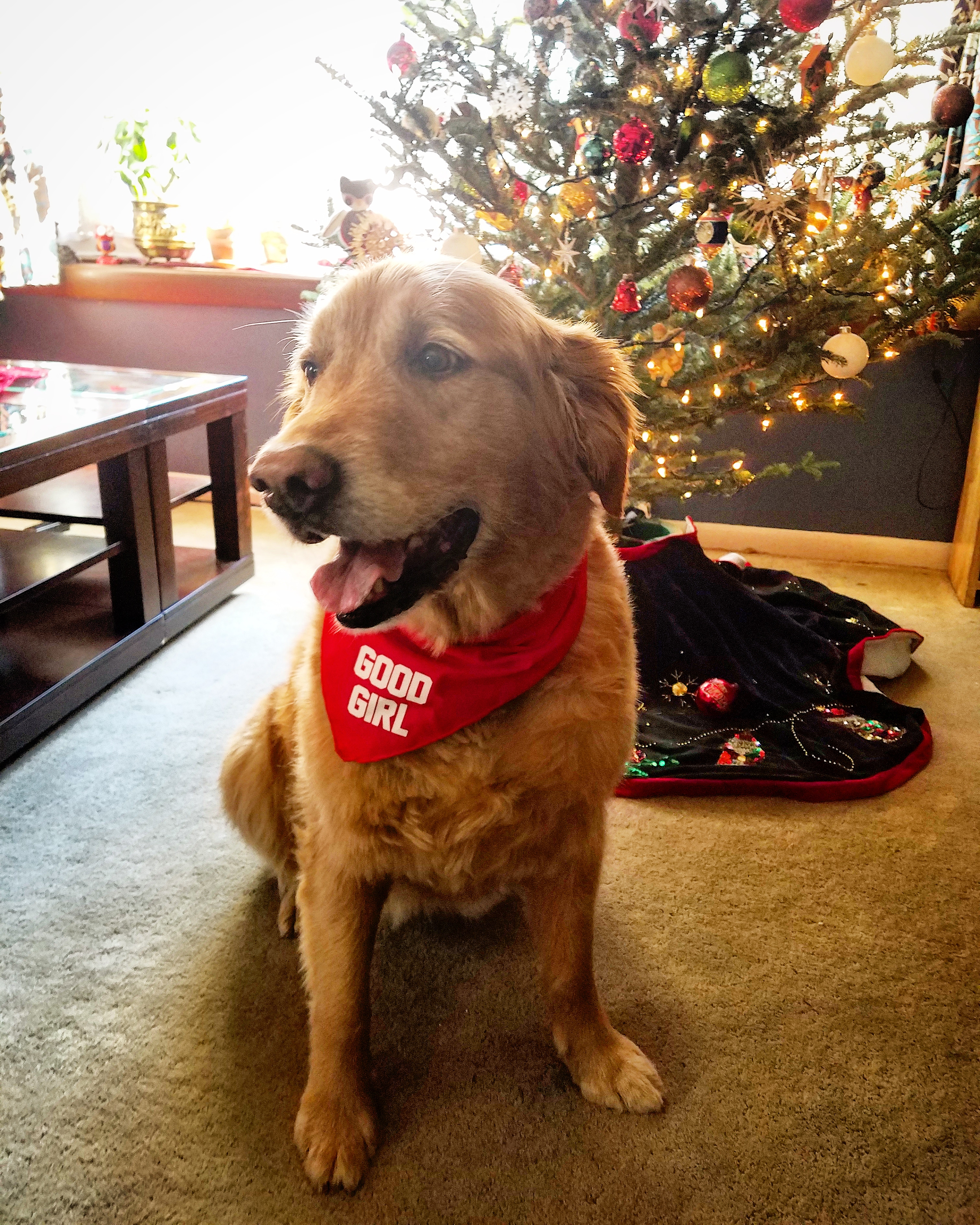 It was her 12th Christmas this year