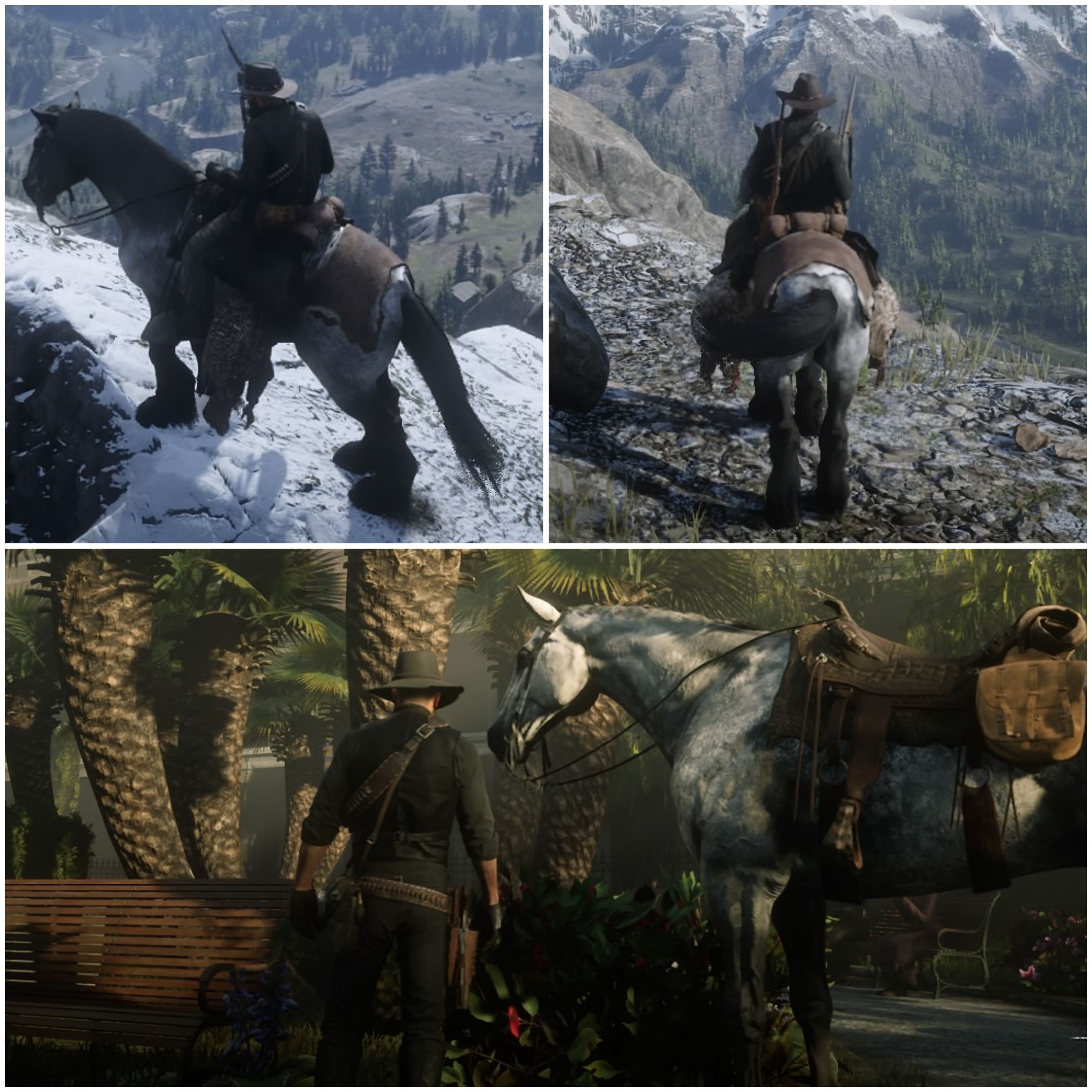 My war horse Ares died by train in Van Horn today, John McClain the 2nd