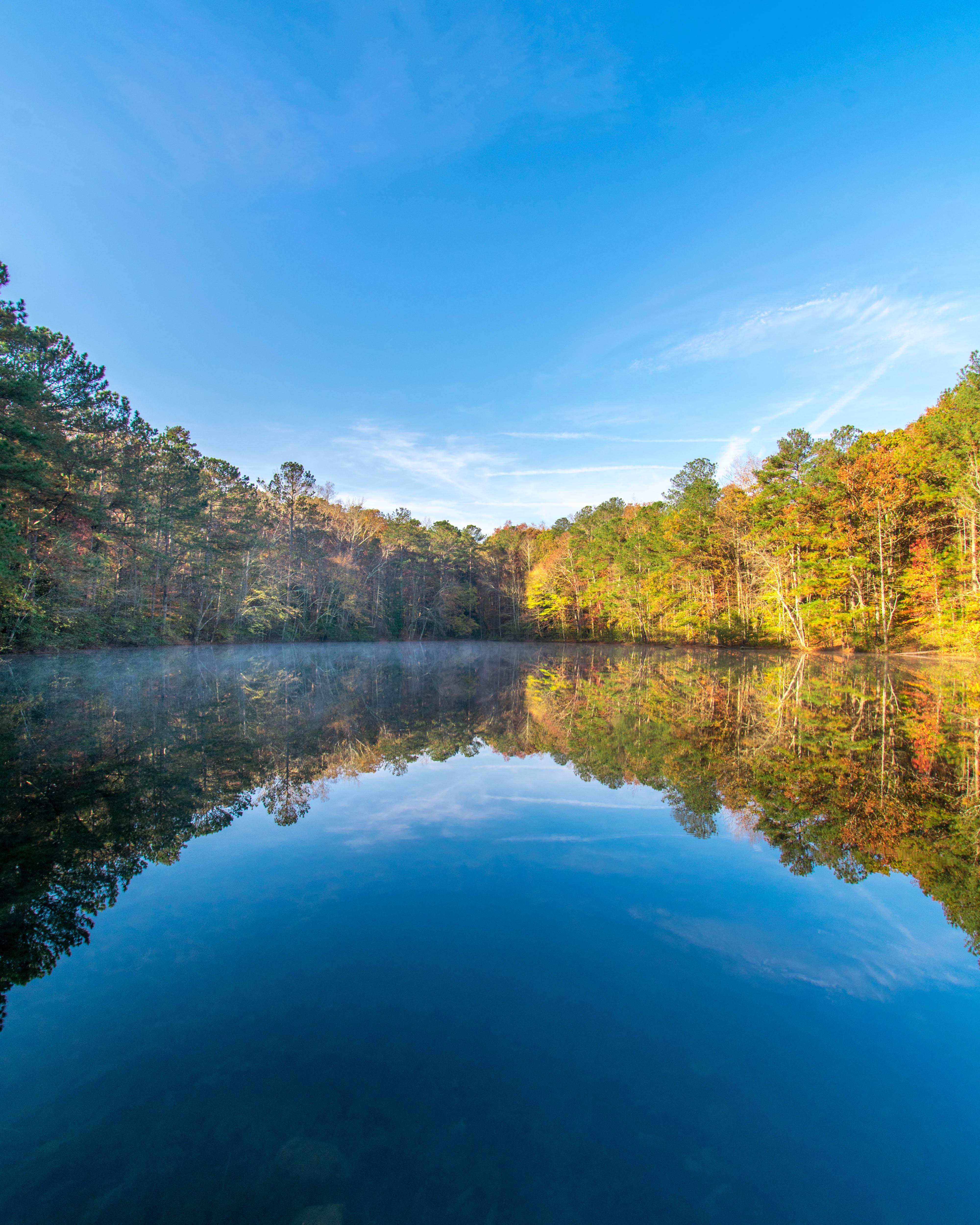 Lake at Soap Creek Trail in Marietta, GA [4000x5000] Nature/Landscape