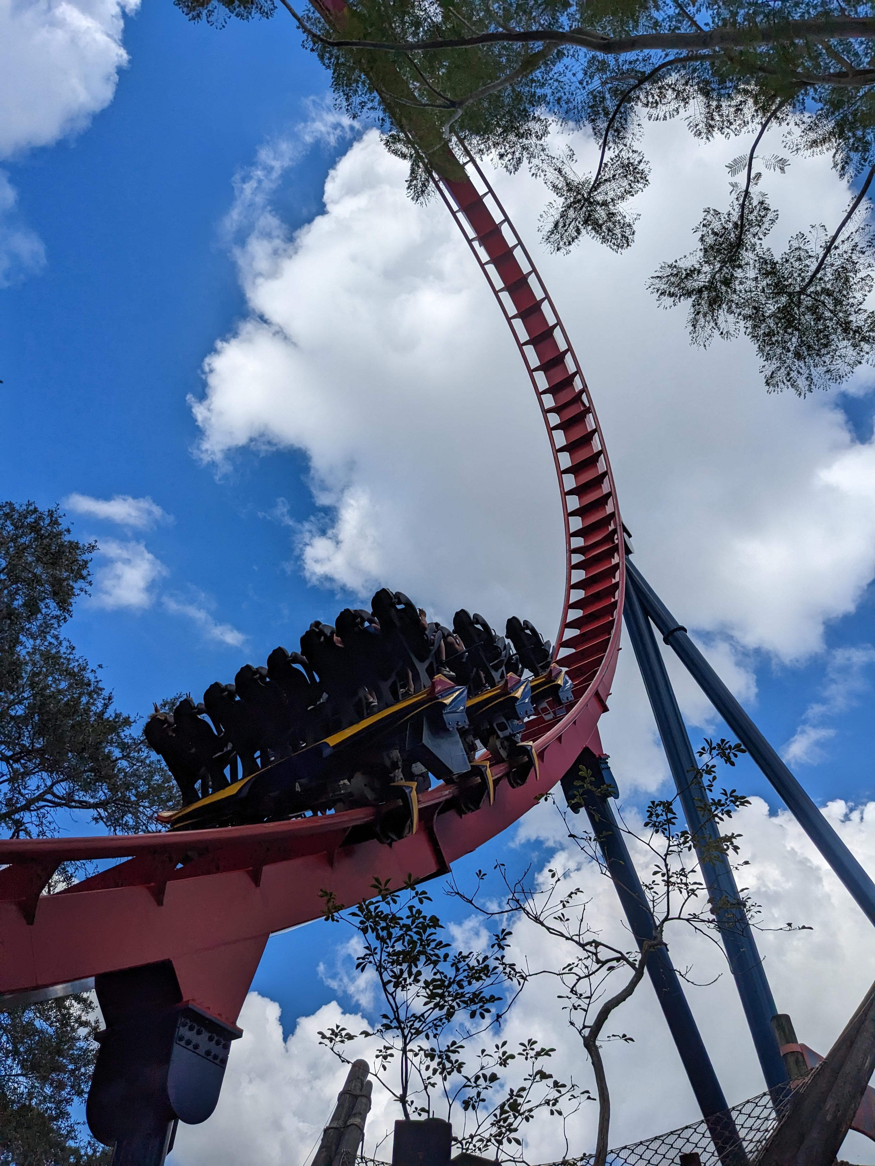 [Sheikra] at [Busch Gardens Tampa] is one of many amazing coasters in